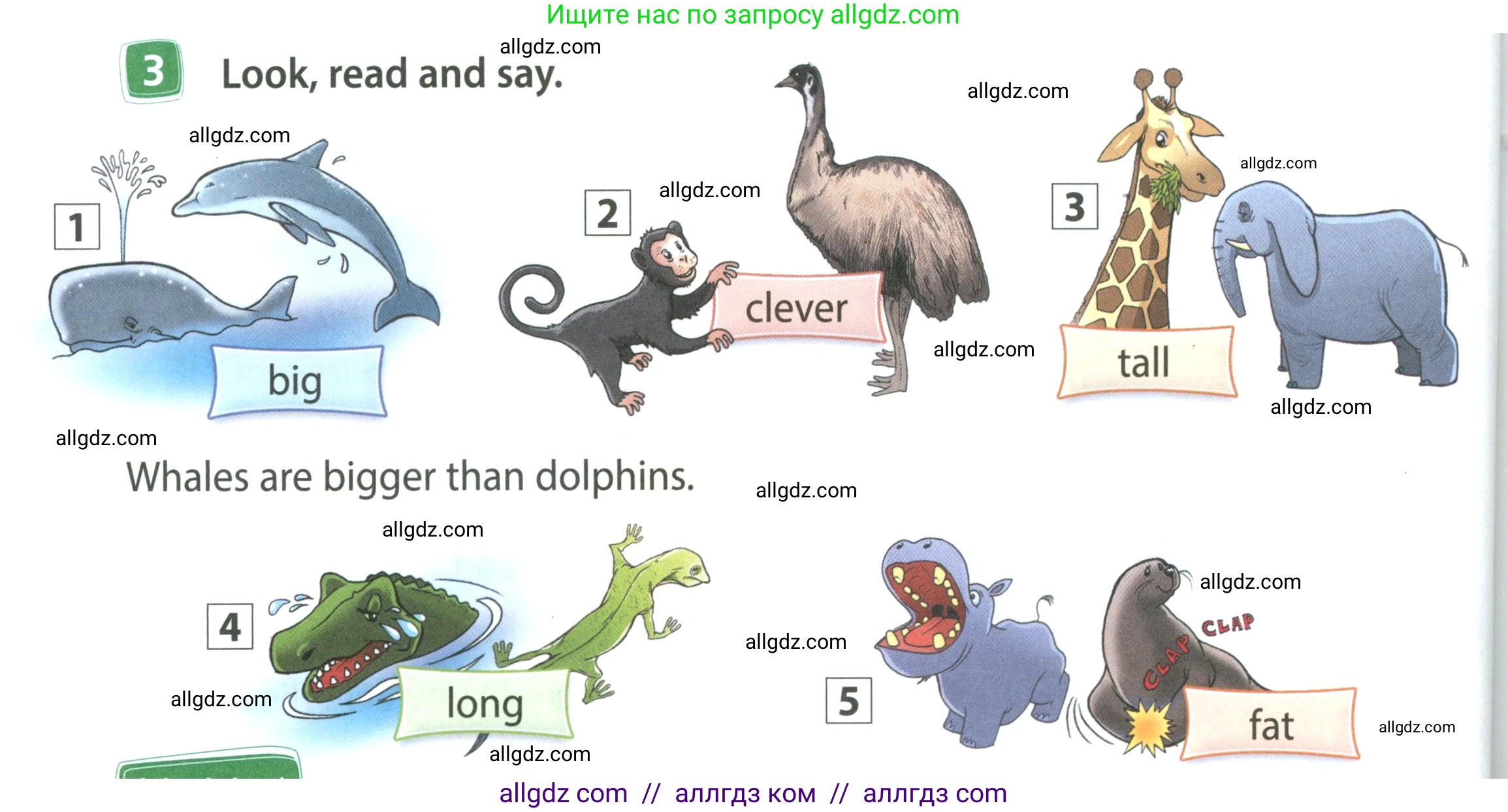 Английский язык (english), 4 класс Учебник (Student's book), авторы: Быкова Надежда Ильинична (Bykova Nadezhda), Дули Дженни (Dooley Jenny), Поспелова Марина Давидовна (Pospelova Marina), Эванс Вирджиния (Evans Virginia), издательство Просвещение, Москва, 2023, белого цвета, Часть ( Part) 1, страница 62, номер 3, Условие