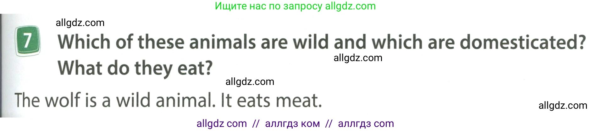 Английский язык (english), 4 класс Учебник (Student's book), авторы: Быкова Надежда Ильинична (Bykova Nadezhda), Дули Дженни (Dooley Jenny), Поспелова Марина Давидовна (Pospelova Marina), Эванс Вирджиния (Evans Virginia), издательство Просвещение, Москва, 2023, белого цвета, Часть ( Part) 1, страница 65, номер 7, Условие