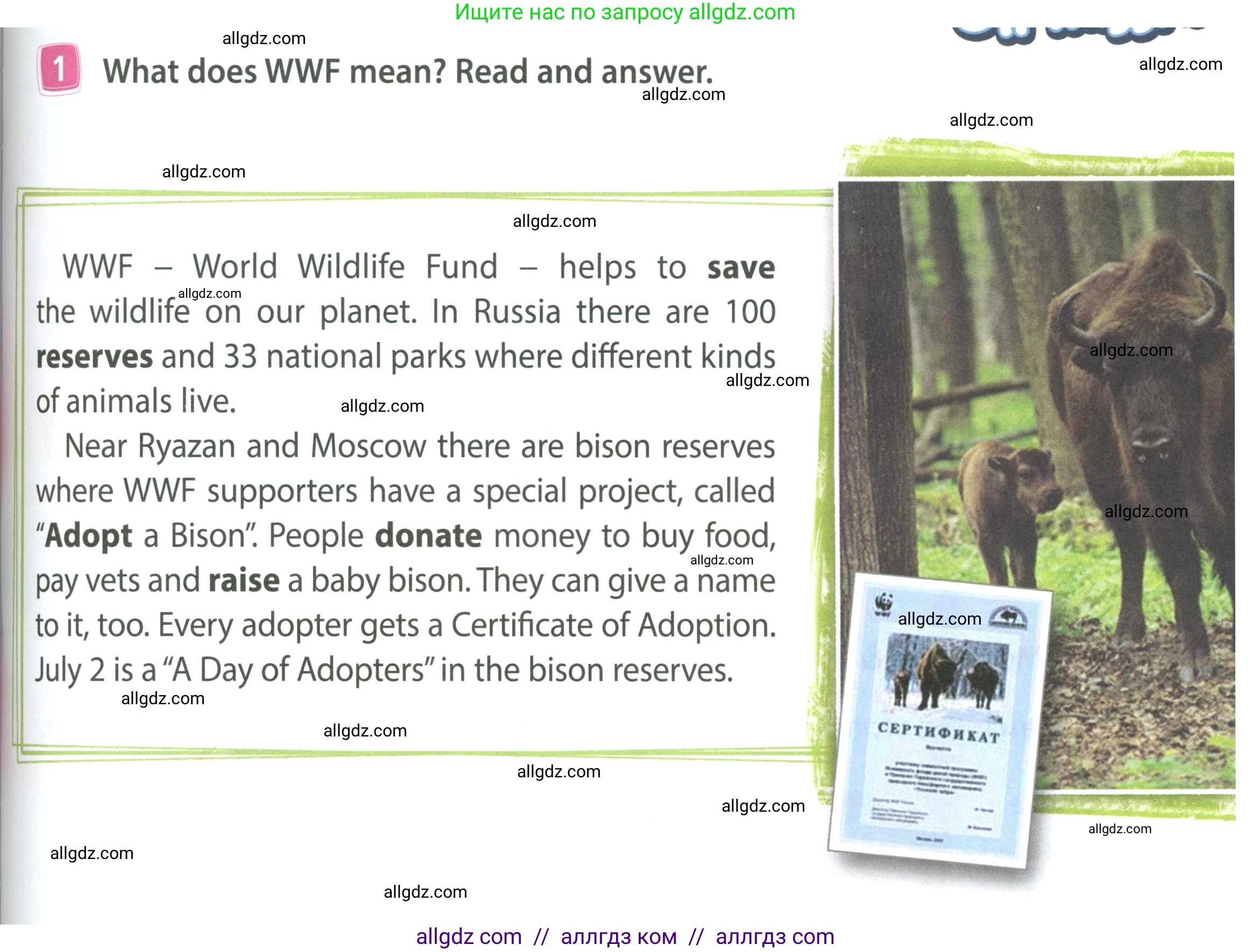 Английский язык (english), 4 класс Учебник (Student's book), авторы: Быкова Надежда Ильинична (Bykova Nadezhda), Дули Дженни (Dooley Jenny), Поспелова Марина Давидовна (Pospelova Marina), Эванс Вирджиния (Evans Virginia), издательство Просвещение, Москва, 2023, белого цвета, Часть ( Part) 1, страница 81, номер 1, Условие