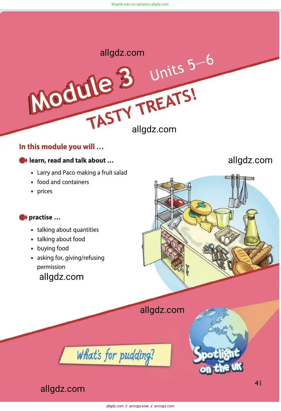 Английский язык (english), 4 класс Учебник (Student's book), авторы: Быкова Надежда Ильинична (Bykova Nadezhda), Дули Дженни (Dooley Jenny), Поспелова Марина Давидовна (Pospelova Marina), Эванс Вирджиния (Evans Virginia), издательство Просвещение, Москва, 2023, белого цвета, страница 41