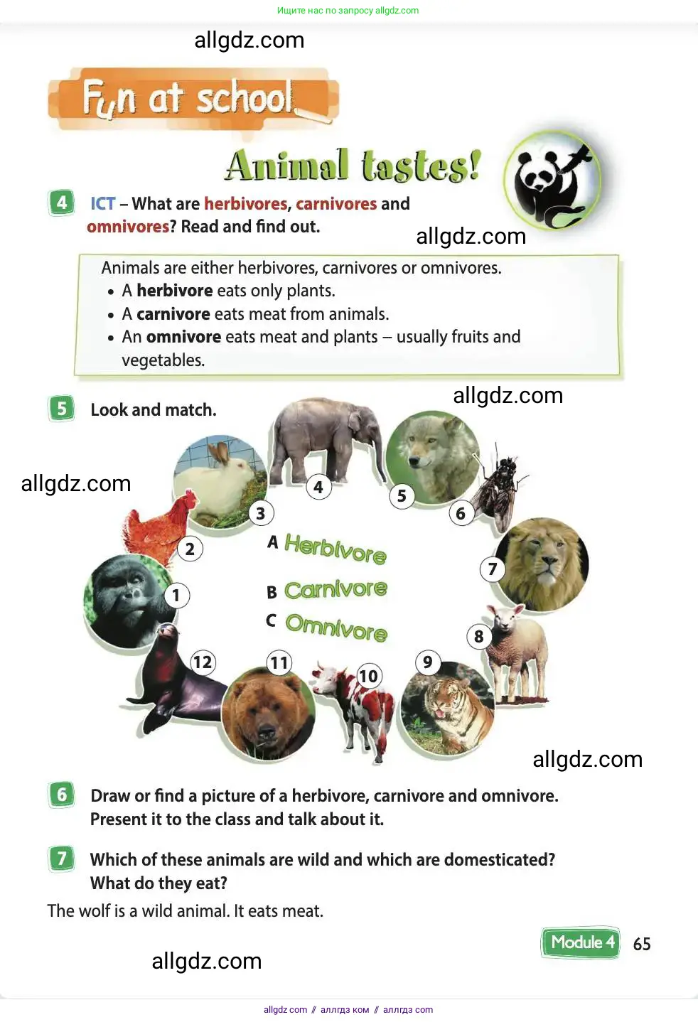 Английский язык (english), 4 класс Учебник (Student's book), авторы: Быкова Надежда Ильинична (Bykova Nadezhda), Дули Дженни (Dooley Jenny), Поспелова Марина Давидовна (Pospelova Marina), Эванс Вирджиния (Evans Virginia), издательство Просвещение, Москва, 2023, белого цвета, Часть ( Part) 1, страница 65