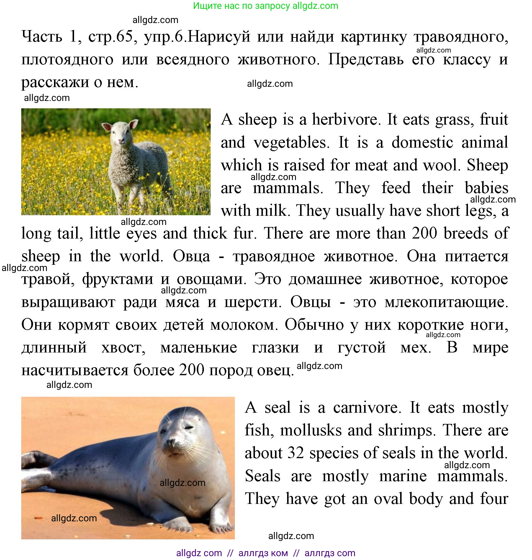 Английский язык (english), 4 класс Учебник (Student's book), авторы: Быкова Надежда Ильинична (Bykova Nadezhda), Дули Дженни (Dooley Jenny), Поспелова Марина Давидовна (Pospelova Marina), Эванс Вирджиния (Evans Virginia), издательство Просвещение, Москва, 2023, белого цвета, Часть ( Part) 1, страница 65, номер 6, Решение 1