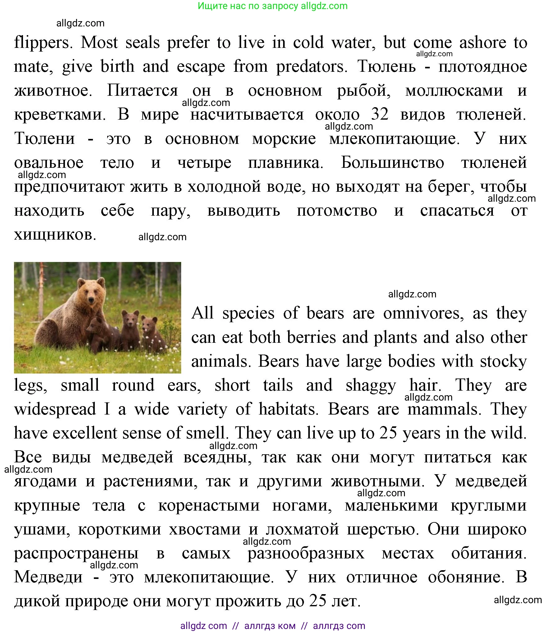 Английский язык (english), 4 класс Учебник (Student's book), авторы: Быкова Надежда Ильинична (Bykova Nadezhda), Дули Дженни (Dooley Jenny), Поспелова Марина Давидовна (Pospelova Marina), Эванс Вирджиния (Evans Virginia), издательство Просвещение, Москва, 2023, белого цвета, Часть ( Part) 1, страница 65, номер 6, Решение 1 (продолжение 2)