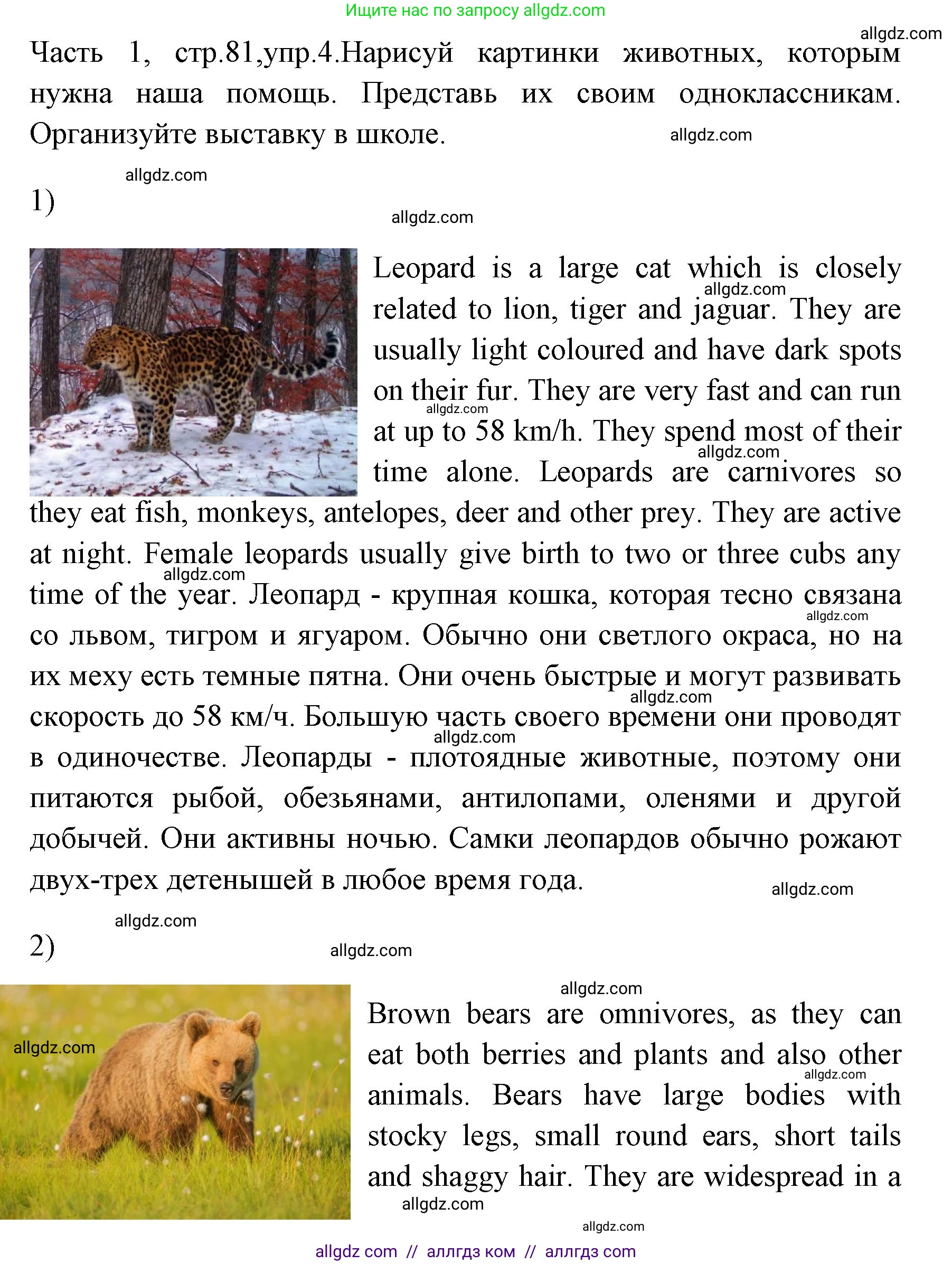 Английский язык (english), 4 класс Учебник (Student's book), авторы: Быкова Надежда Ильинична (Bykova Nadezhda), Дули Дженни (Dooley Jenny), Поспелова Марина Давидовна (Pospelova Marina), Эванс Вирджиния (Evans Virginia), издательство Просвещение, Москва, 2023, белого цвета, Часть ( Part) 1, страница 81, номер 4, Решение 1