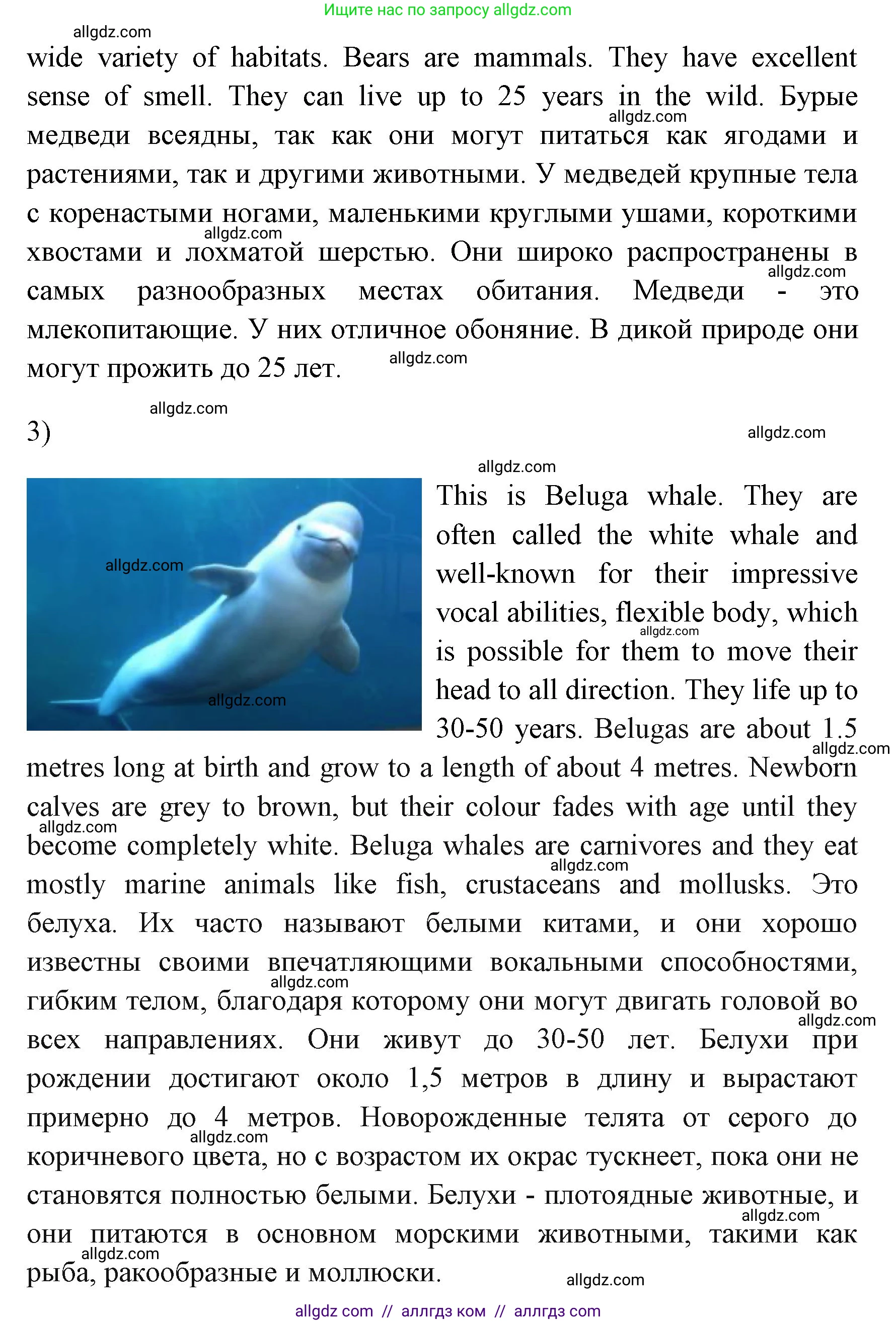 Английский язык (english), 4 класс Учебник (Student's book), авторы: Быкова Надежда Ильинична (Bykova Nadezhda), Дули Дженни (Dooley Jenny), Поспелова Марина Давидовна (Pospelova Marina), Эванс Вирджиния (Evans Virginia), издательство Просвещение, Москва, 2023, белого цвета, Часть ( Part) 1, страница 81, номер 4, Решение 1 (продолжение 2)