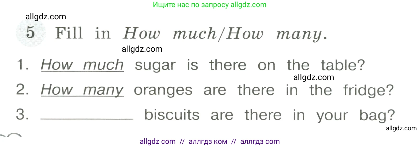 Английский язык (english), 4 класс Грамматический тренажёр, автор: Юшина Дарья Генадьевна, издательство Просвещение, Москва, 2019, красного цвета, страница 38, номер 5, Условие