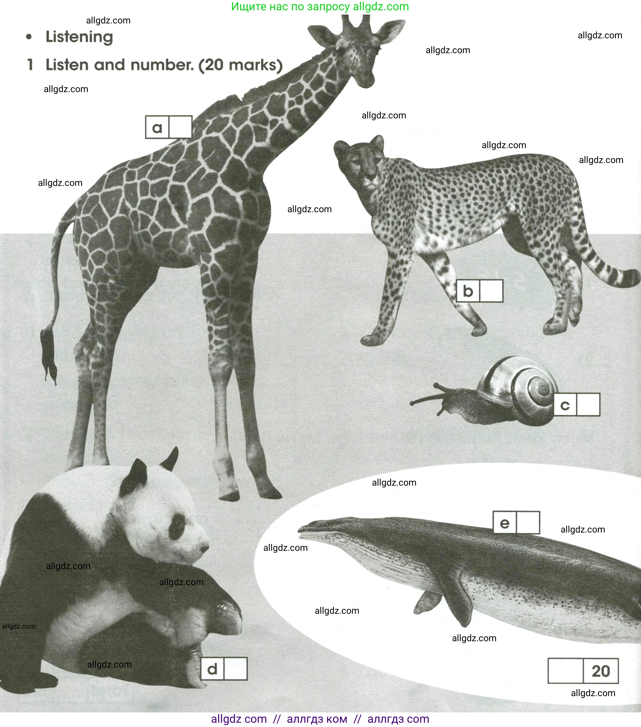 Английский язык (english), 4 класс контрольные задания (test booklet), авторы: Баранова Ксения Михайловна (Baranova Ksenia), Дули Дженни (Dooley Jenny), Копылова Виктория Викторовна (Kopylova Victoria), Мильруд Радислав Петрович (Millrood Radislav), Эванс Вирджиния (Evans Virginia), издательство Просвещение, Москва, 2023, серого цвета, страница 32, номер 1, Условие