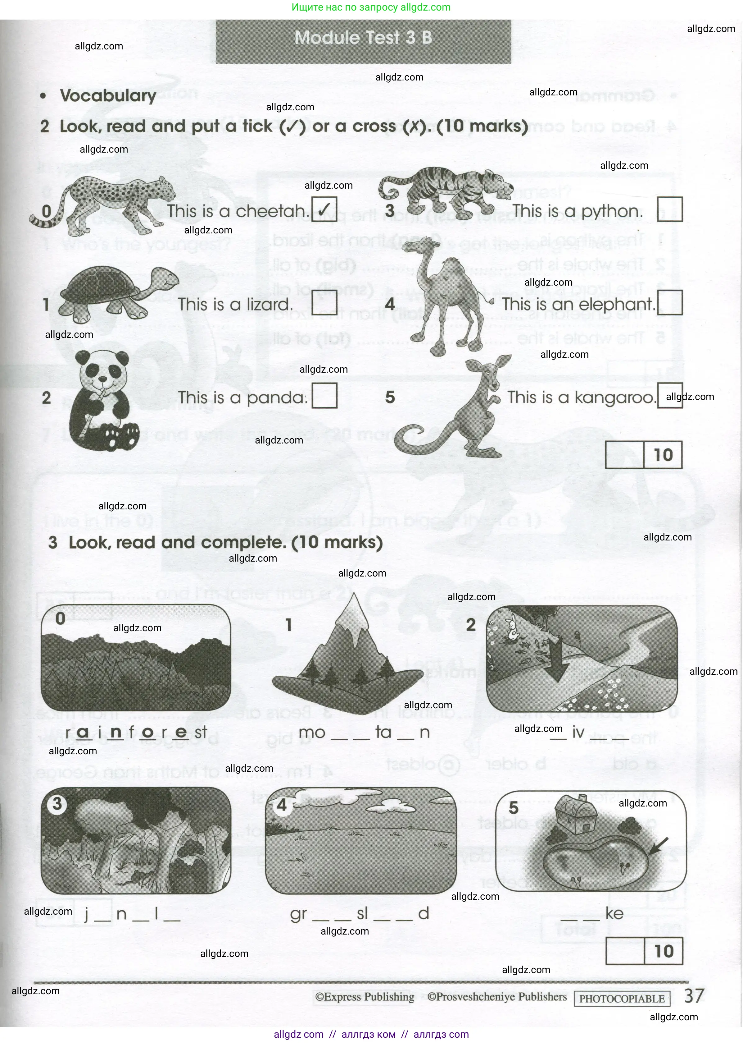 Английский язык (english), 4 класс контрольные задания (test booklet), авторы: Баранова Ксения Михайловна (Baranova Ksenia), Дули Дженни (Dooley Jenny), Копылова Виктория Викторовна (Kopylova Victoria), Мильруд Радислав Петрович (Millrood Radislav), Эванс Вирджиния (Evans Virginia), издательство Просвещение, Москва, 2023, серого цвета, страница 37