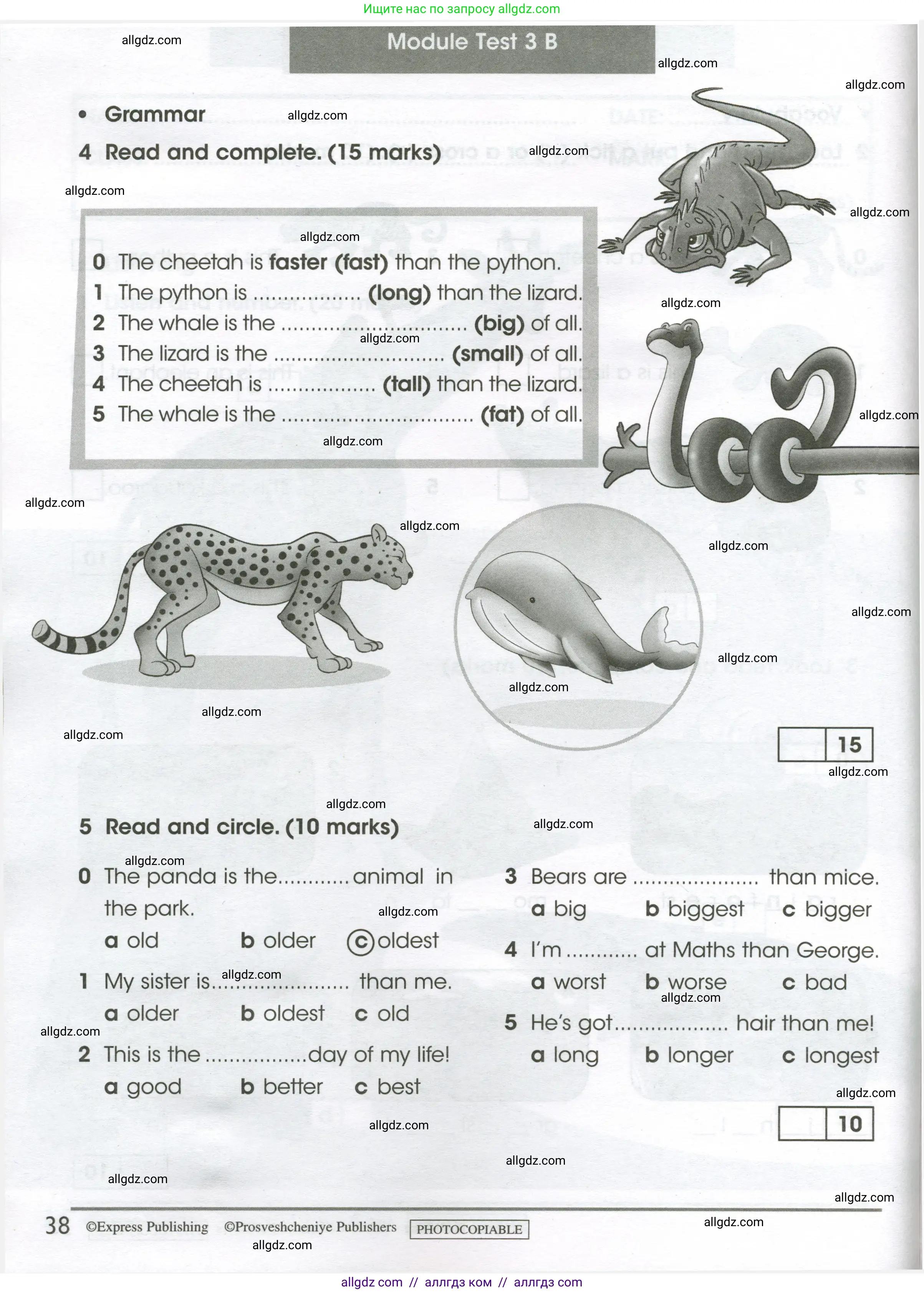 Английский язык (english), 4 класс контрольные задания (test booklet), авторы: Баранова Ксения Михайловна (Baranova Ksenia), Дули Дженни (Dooley Jenny), Копылова Виктория Викторовна (Kopylova Victoria), Мильруд Радислав Петрович (Millrood Radislav), Эванс Вирджиния (Evans Virginia), издательство Просвещение, Москва, 2023, серого цвета, страница 38