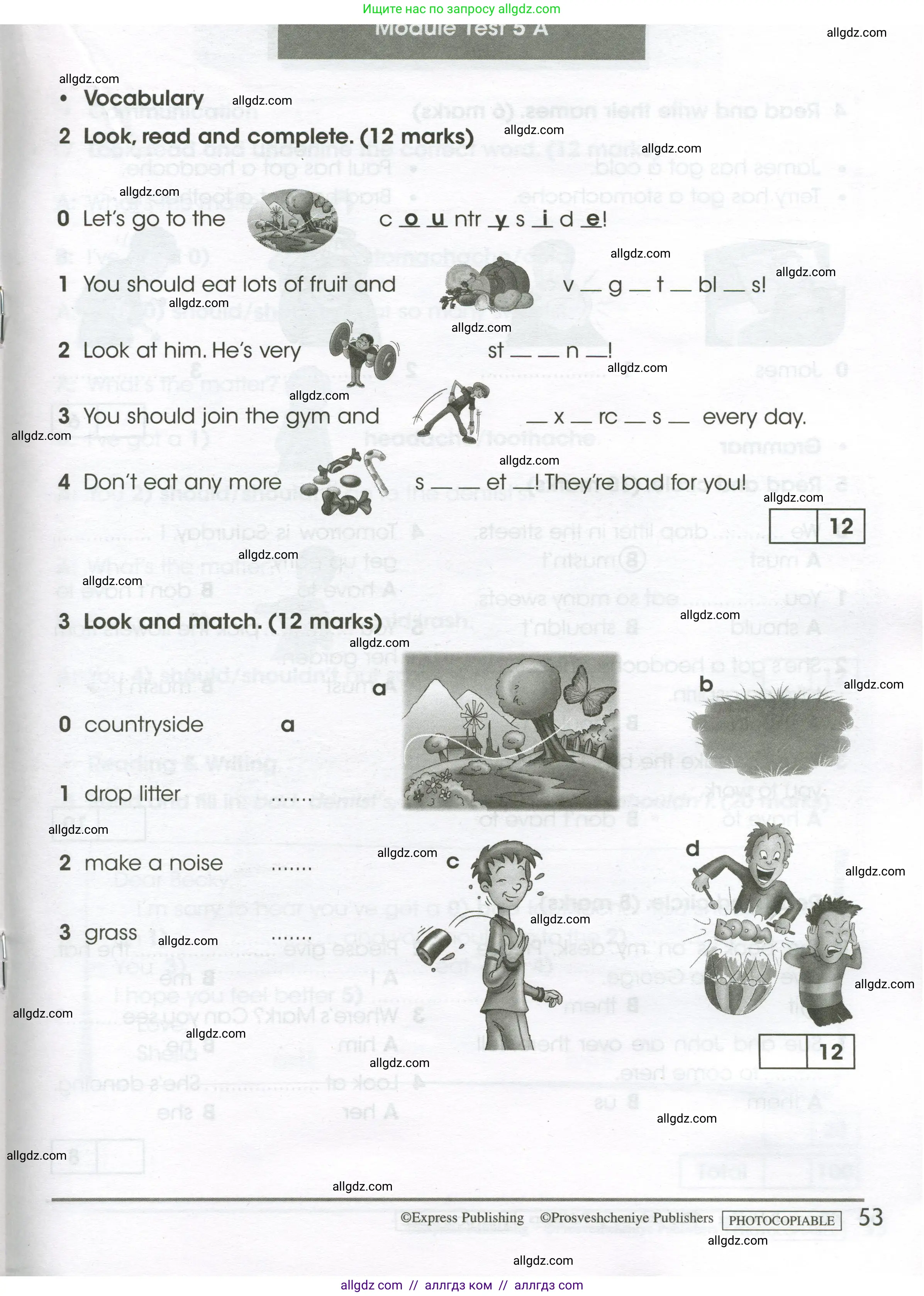 Английский язык (english), 4 класс контрольные задания (test booklet), авторы: Баранова Ксения Михайловна (Baranova Ksenia), Дули Дженни (Dooley Jenny), Копылова Виктория Викторовна (Kopylova Victoria), Мильруд Радислав Петрович (Millrood Radislav), Эванс Вирджиния (Evans Virginia), издательство Просвещение, Москва, 2023, серого цвета, страница 53