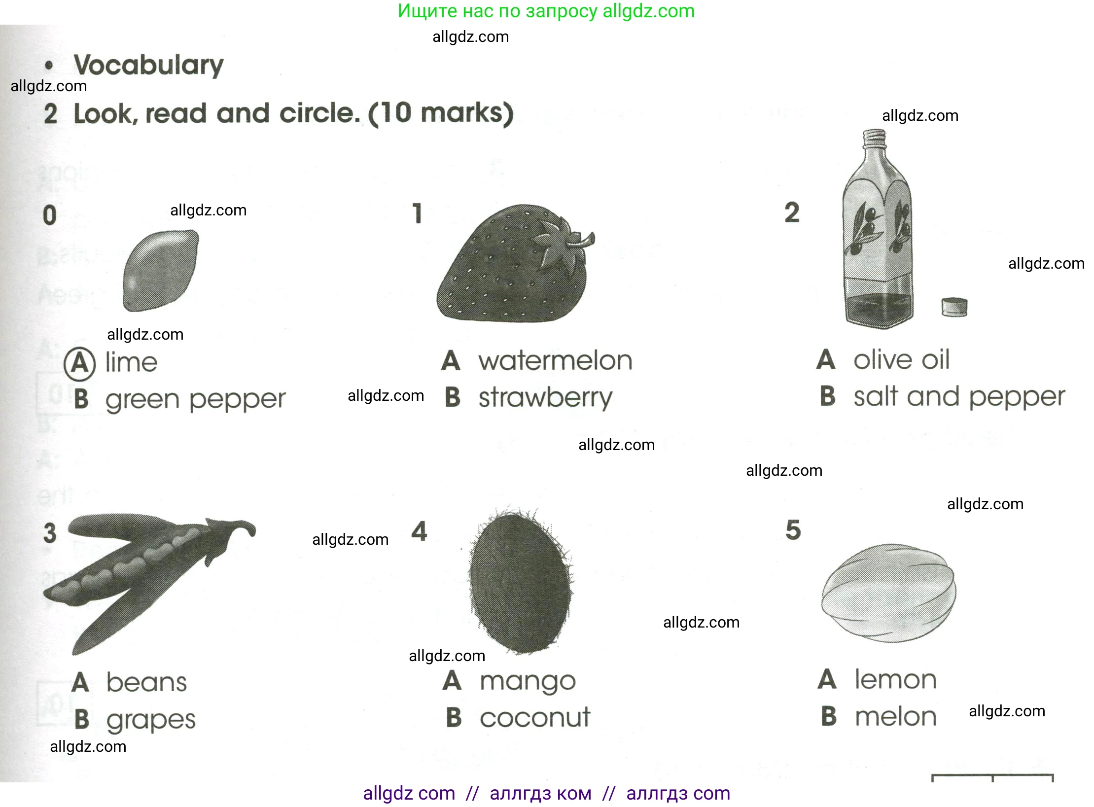 Английский язык (english), 4 класс контрольные задания (test booklet), авторы: Баранова Ксения Михайловна (Baranova Ksenia), Дули Дженни (Dooley Jenny), Копылова Виктория Викторовна (Kopylova Victoria), Мильруд Радислав Петрович (Millrood Radislav), Эванс Вирджиния (Evans Virginia), издательство Просвещение, Москва, 2023, серого цвета, страница 61, номер 2, Условие