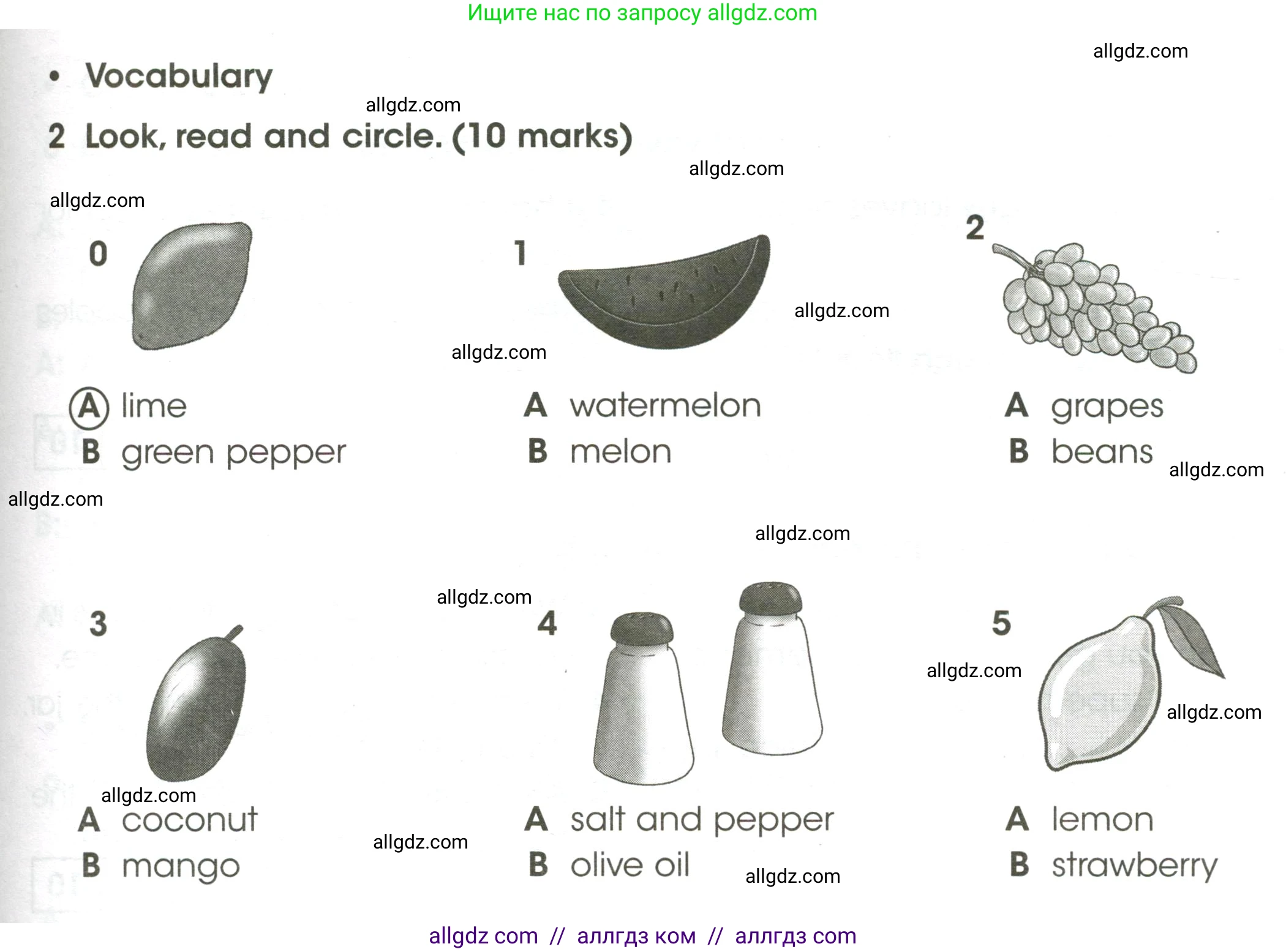 Английский язык (english), 4 класс контрольные задания (test booklet), авторы: Баранова Ксения Михайловна (Baranova Ksenia), Дули Дженни (Dooley Jenny), Копылова Виктория Викторовна (Kopylova Victoria), Мильруд Радислав Петрович (Millrood Radislav), Эванс Вирджиния (Evans Virginia), издательство Просвещение, Москва, 2023, серого цвета, страница 65, номер 2, Условие