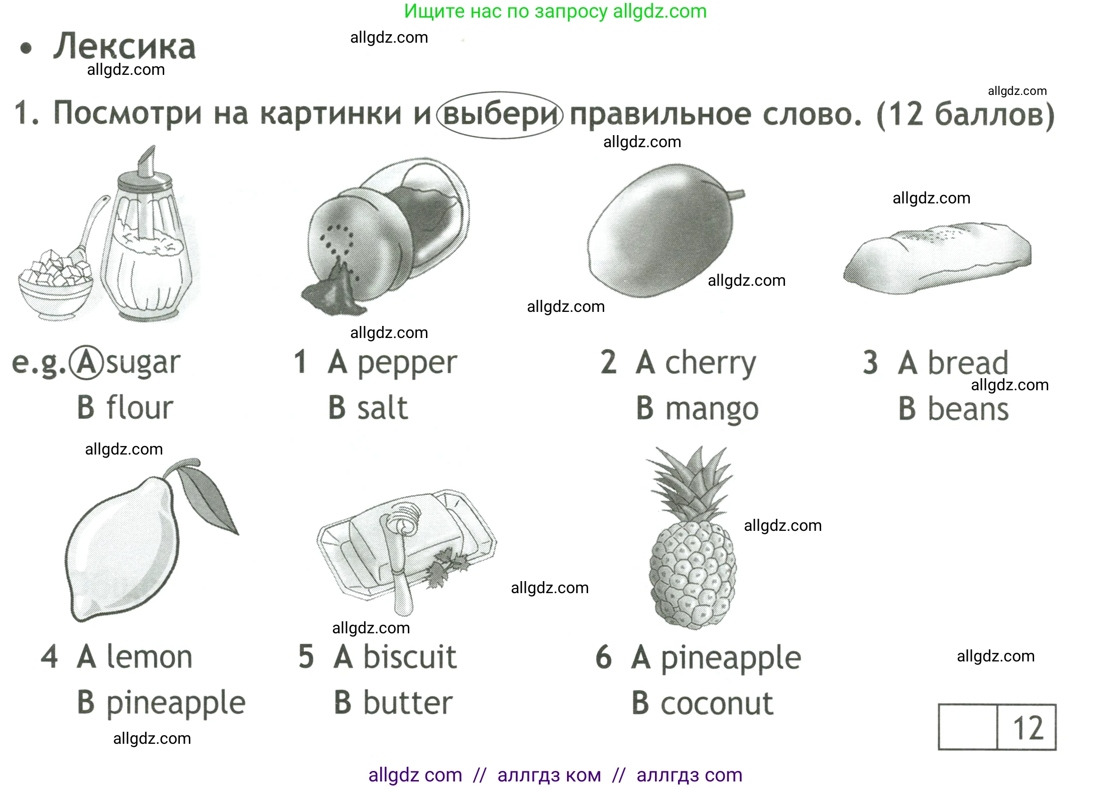 Английский язык (english), 4 класс контрольные задания (test booklet), авторы: Быкова Надежда Ильинична (Bykova Nadezhda), Дули Дженни (Dooley Jenny), Поспелова Марина Давидовна (Pospelova Marina), Эванс Вирджиния (Evans Virginia), издательство Просвещение, Москва, 2023, оранжевого цвета, страница 24, номер 1, Условие