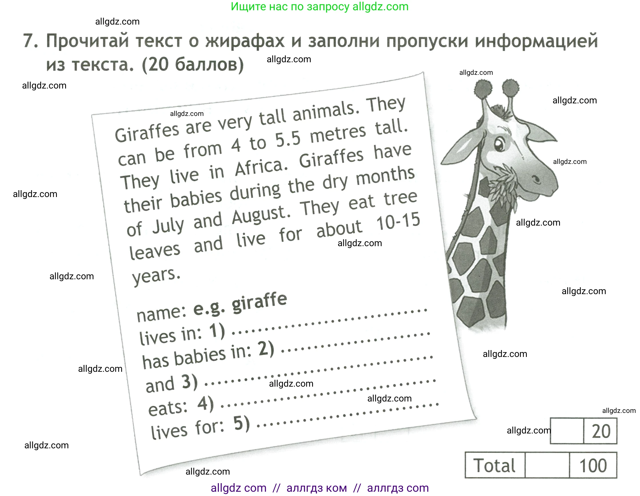 Английский язык (english), 4 класс контрольные задания (test booklet), авторы: Быкова Надежда Ильинична (Bykova Nadezhda), Дули Дженни (Dooley Jenny), Поспелова Марина Давидовна (Pospelova Marina), Эванс Вирджиния (Evans Virginia), издательство Просвещение, Москва, 2023, оранжевого цвета, страница 30, номер 7, Условие