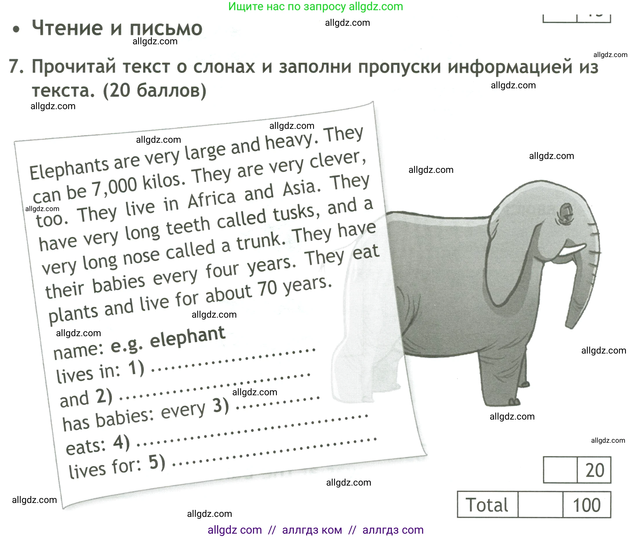 Английский язык (english), 4 класс контрольные задания (test booklet), авторы: Быкова Надежда Ильинична (Bykova Nadezhda), Дули Дженни (Dooley Jenny), Поспелова Марина Давидовна (Pospelova Marina), Эванс Вирджиния (Evans Virginia), издательство Просвещение, Москва, 2023, оранжевого цвета, страница 33, номер 7, Условие