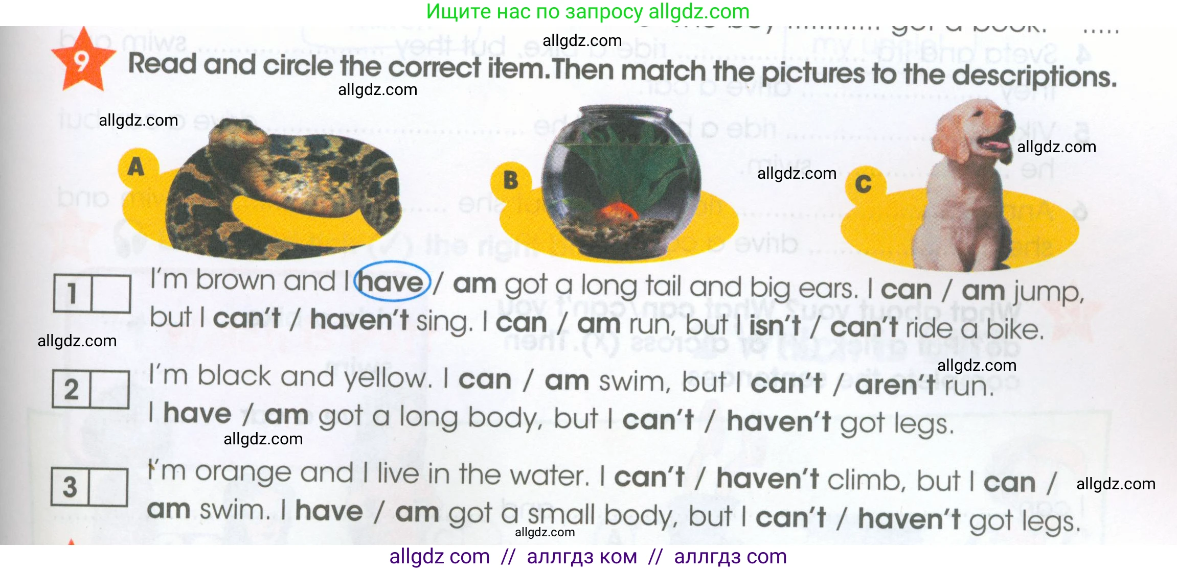 Английский язык (english), 4 класс Рабочая тетрадь (workbook), авторы: Баранова Ксения Михайловна (Baranova Ksenia), Бадулина Ольга Ивановна, Копылова Виктория Викторовна (Kopylova Victoria), Мильруд Радислав Петрович (Millrood Radislav), Эванс Вирджиния (Evans Virginia), издательство Просвещение, Москва, 2023, оранжевого цвета, Часть ( Part) 1, страница 7, номер 9, Условие