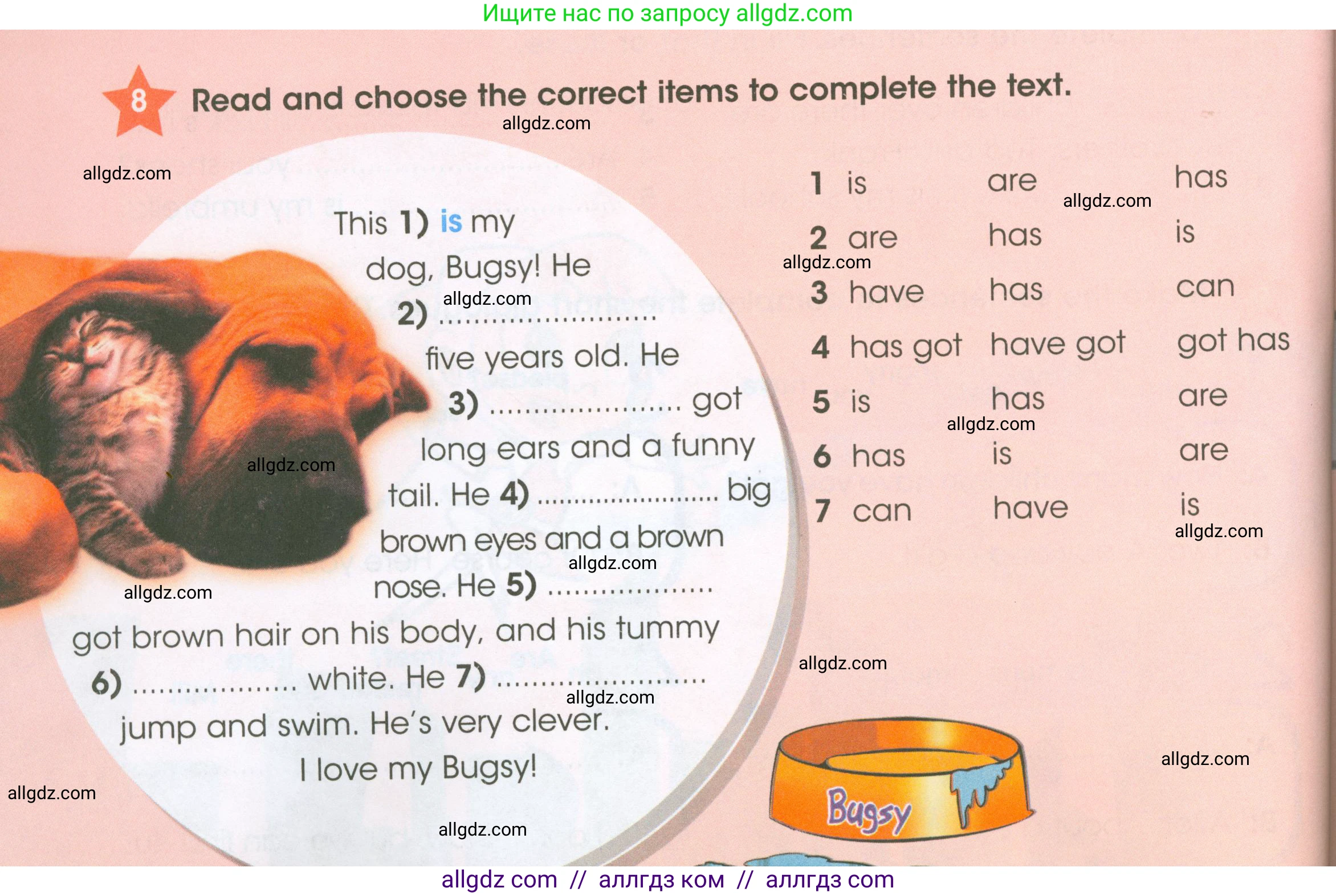 Английский язык (english), 4 класс Рабочая тетрадь (workbook), авторы: Баранова Ксения Михайловна (Baranova Ksenia), Бадулина Ольга Ивановна, Копылова Виктория Викторовна (Kopylova Victoria), Мильруд Радислав Петрович (Millrood Radislav), Эванс Вирджиния (Evans Virginia), издательство Просвещение, Москва, 2023, оранжевого цвета, Часть ( Part) 1, страница 52, номер 8, Условие