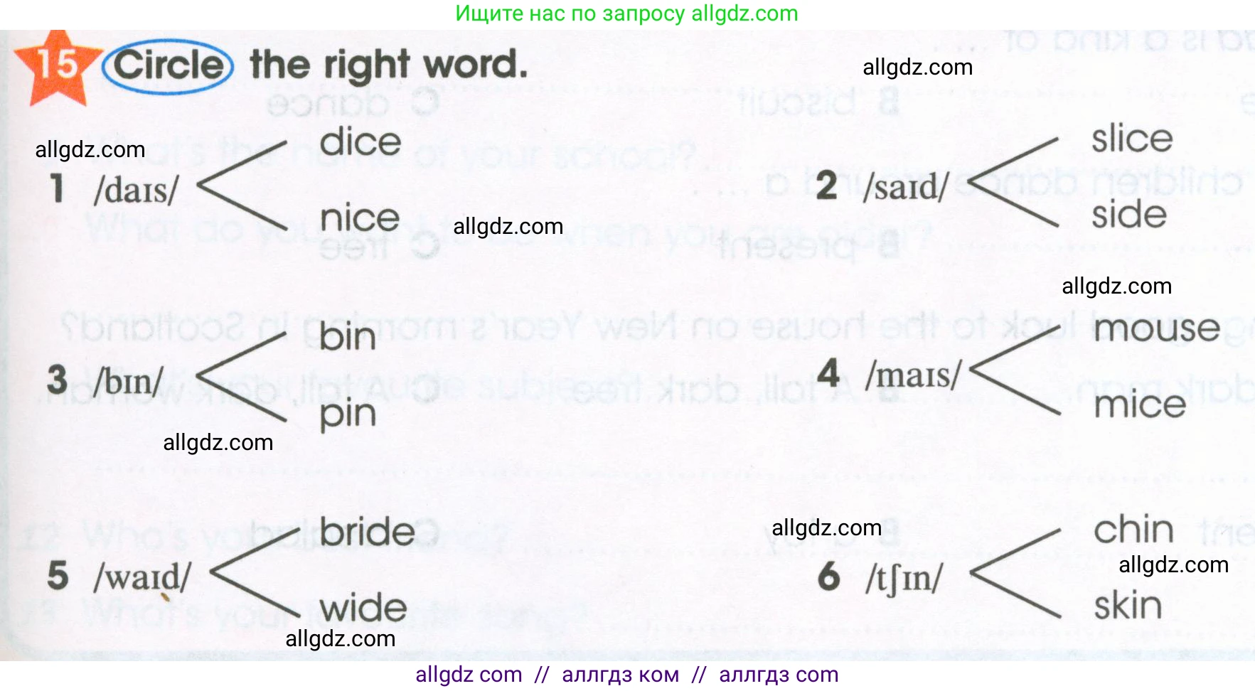 Английский язык (english), 4 класс Рабочая тетрадь (workbook), авторы: Баранова Ксения Михайловна (Baranova Ksenia), Бадулина Ольга Ивановна, Копылова Виктория Викторовна (Kopylova Victoria), Мильруд Радислав Петрович (Millrood Radislav), Эванс Вирджиния (Evans Virginia), издательство Просвещение, Москва, 2023, оранжевого цвета, Часть ( Part) 1, страница 47, номер 15, Условие