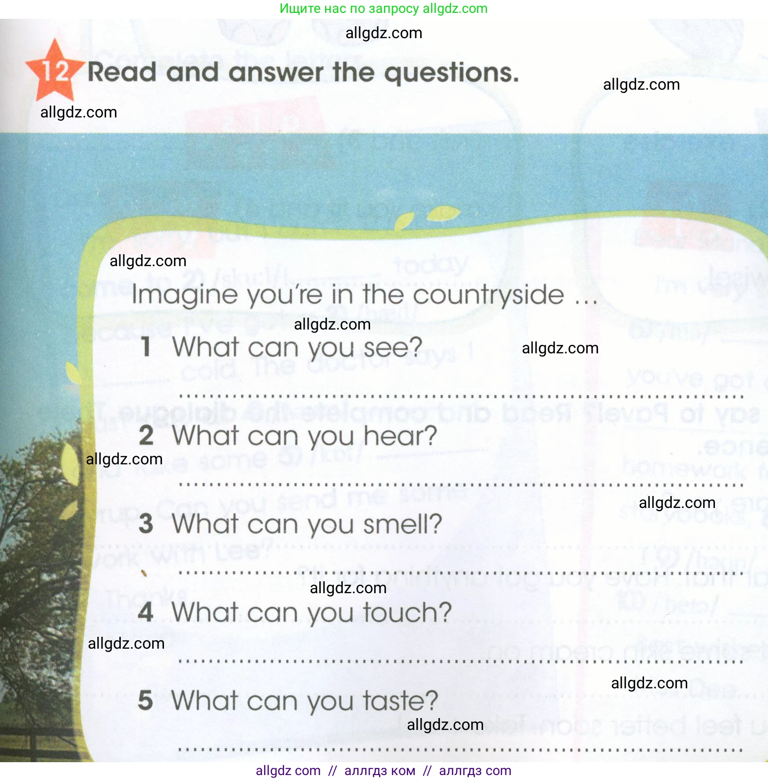 Английский язык (english), 4 класс Рабочая тетрадь (workbook), авторы: Баранова Ксения Михайловна (Baranova Ksenia), Бадулина Ольга Ивановна, Копылова Виктория Викторовна (Kopylova Victoria), Мильруд Радислав Петрович (Millrood Radislav), Эванс Вирджиния (Evans Virginia), издательство Просвещение, Москва, 2023, оранжевого цвета, Часть ( Part) 2, страница 9, номер 12, Условие