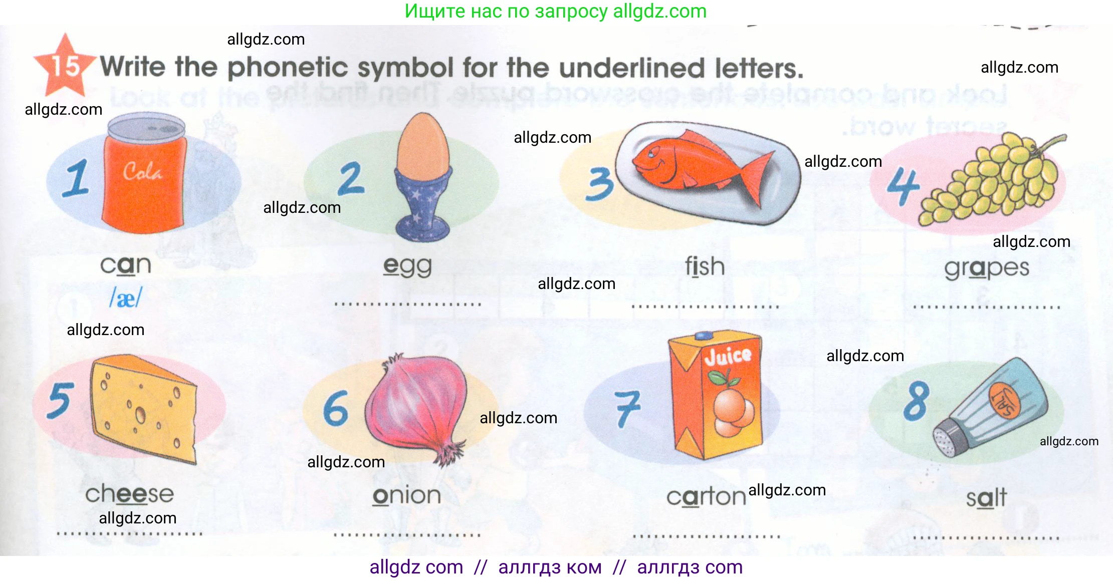 Английский язык (english), 4 класс Рабочая тетрадь (workbook), авторы: Баранова Ксения Михайловна (Baranova Ksenia), Бадулина Ольга Ивановна, Копылова Виктория Викторовна (Kopylova Victoria), Мильруд Радислав Петрович (Millrood Radislav), Эванс Вирджиния (Evans Virginia), издательство Просвещение, Москва, 2023, оранжевого цвета, Часть ( Part) 2, страница 19, номер 15, Условие