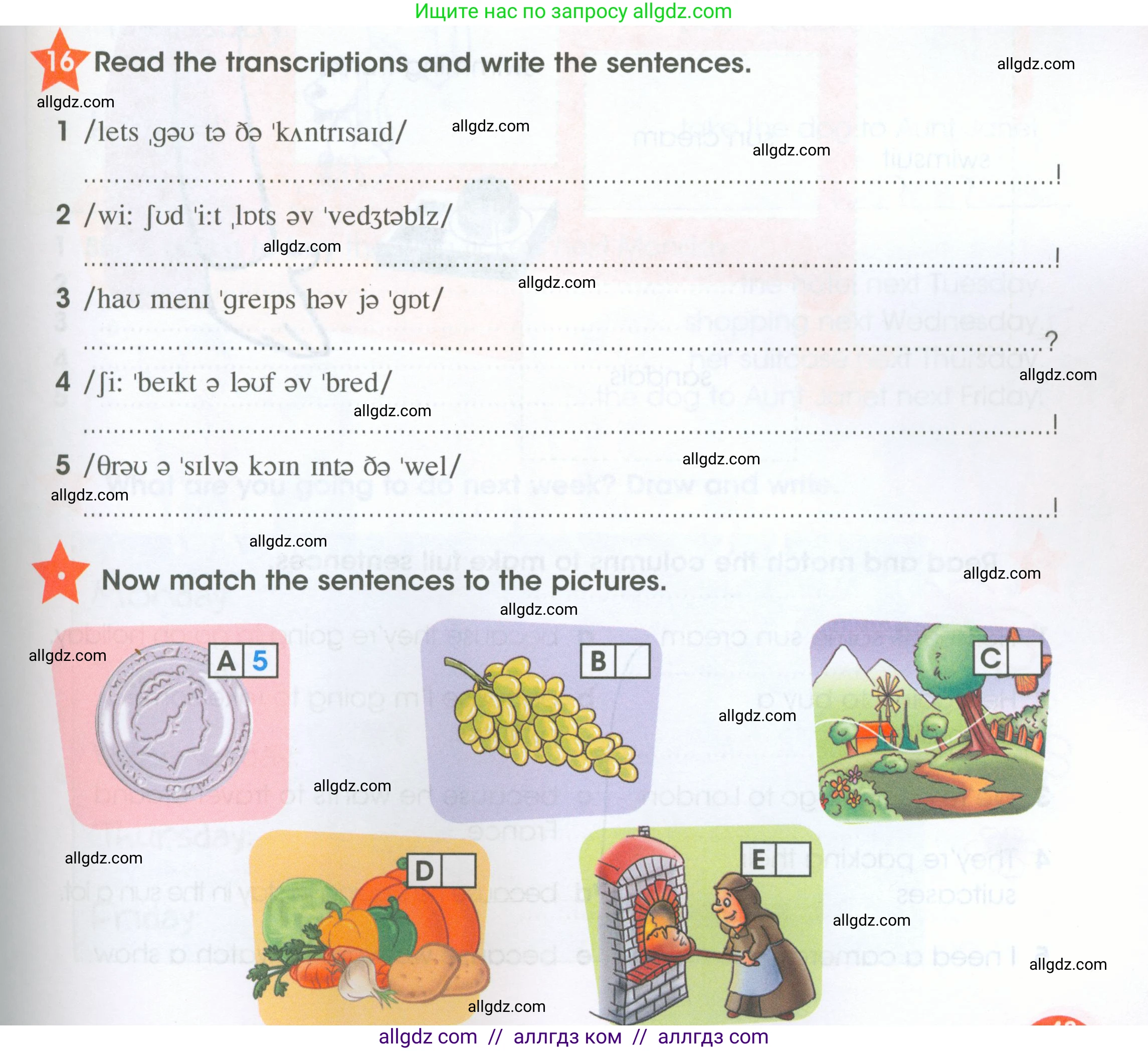 Английский язык (english), 4 класс Рабочая тетрадь (workbook), авторы: Баранова Ксения Михайловна (Baranova Ksenia), Бадулина Ольга Ивановна, Копылова Виктория Викторовна (Kopylova Victoria), Мильруд Радислав Петрович (Millrood Radislav), Эванс Вирджиния (Evans Virginia), издательство Просвещение, Москва, 2023, оранжевого цвета, Часть ( Part) 2, страница 43, номер 16, Условие