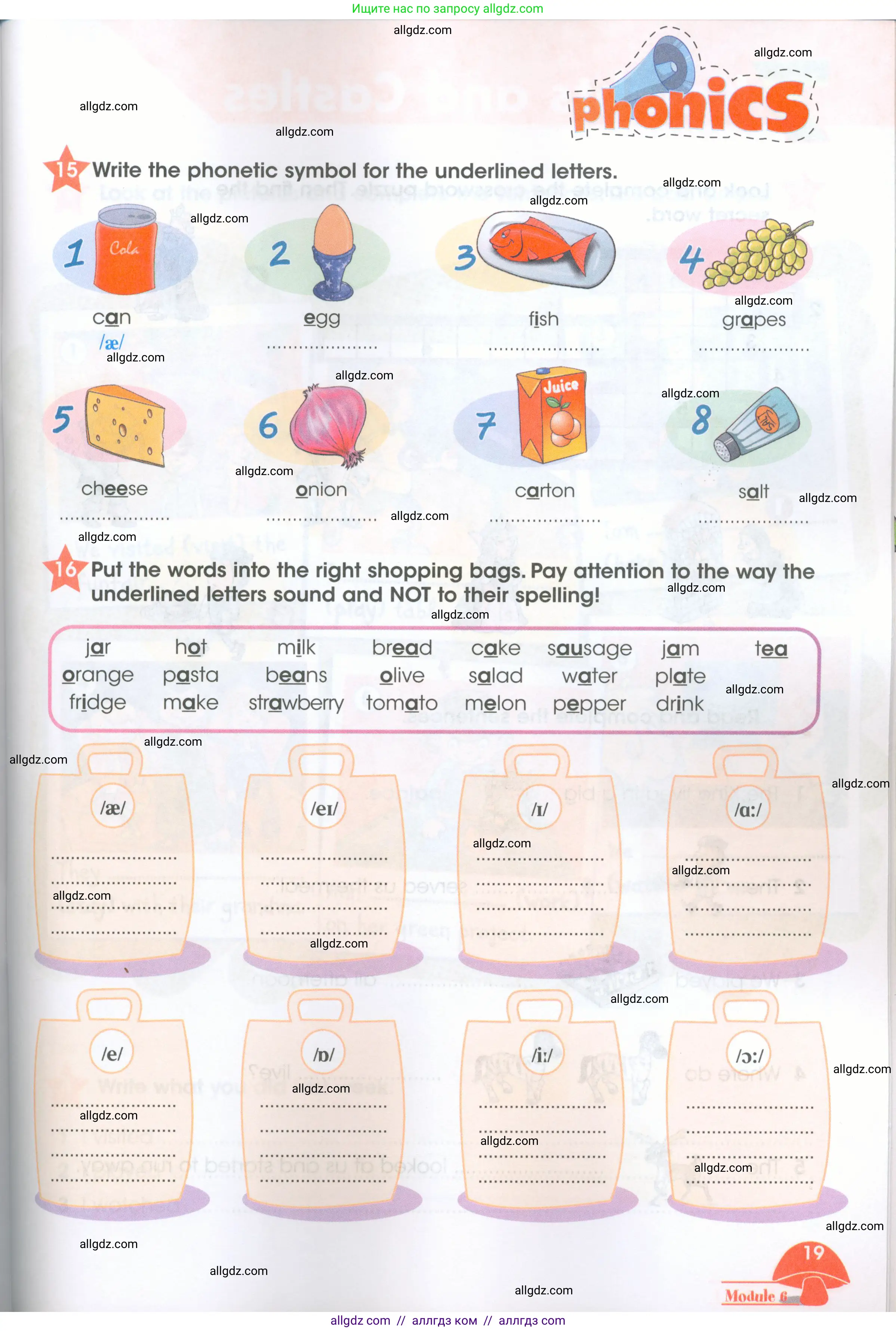 Английский язык (english), 4 класс Рабочая тетрадь (workbook), авторы: Баранова Ксения Михайловна (Baranova Ksenia), Бадулина Ольга Ивановна, Копылова Виктория Викторовна (Kopylova Victoria), Мильруд Радислав Петрович (Millrood Radislav), Эванс Вирджиния (Evans Virginia), издательство Просвещение, Москва, 2023, оранжевого цвета, Часть ( Part) 2, страница 19