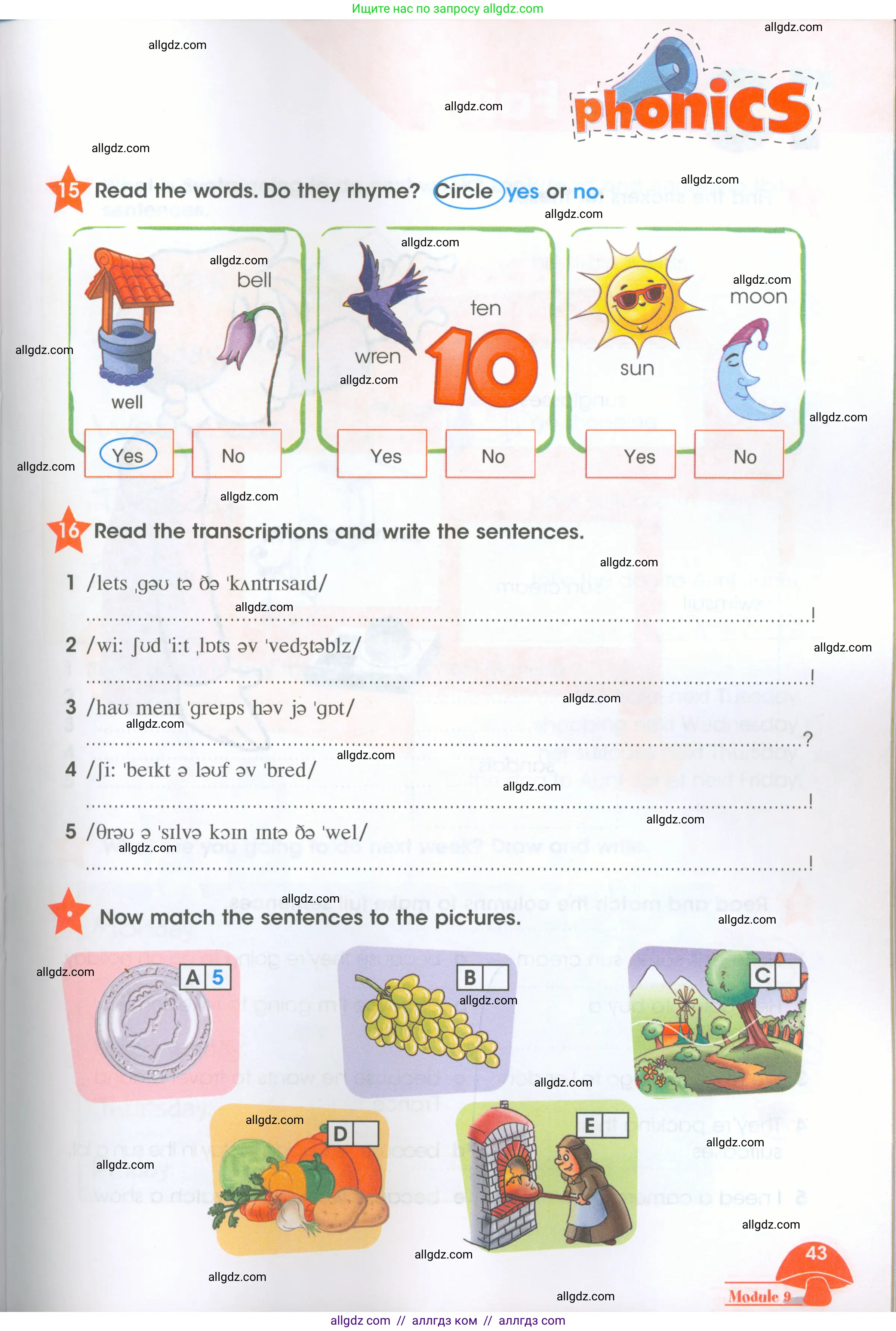 Английский язык (english), 4 класс Рабочая тетрадь (workbook), авторы: Баранова Ксения Михайловна (Baranova Ksenia), Бадулина Ольга Ивановна, Копылова Виктория Викторовна (Kopylova Victoria), Мильруд Радислав Петрович (Millrood Radislav), Эванс Вирджиния (Evans Virginia), издательство Просвещение, Москва, 2023, оранжевого цвета, Часть ( Part) 2, страница 43