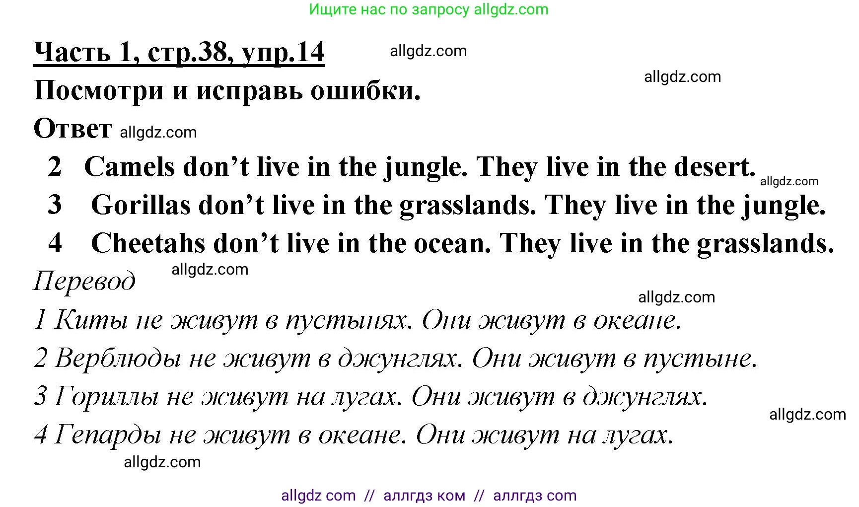 Английский язык (english), 4 класс Рабочая тетрадь (workbook), авторы: Баранова Ксения Михайловна (Baranova Ksenia), Бадулина Ольга Ивановна, Копылова Виктория Викторовна (Kopylova Victoria), Мильруд Радислав Петрович (Millrood Radislav), Эванс Вирджиния (Evans Virginia), издательство Просвещение, Москва, 2023, оранжевого цвета, Часть ( Part) 1, страница 38, номер 14, Решение
