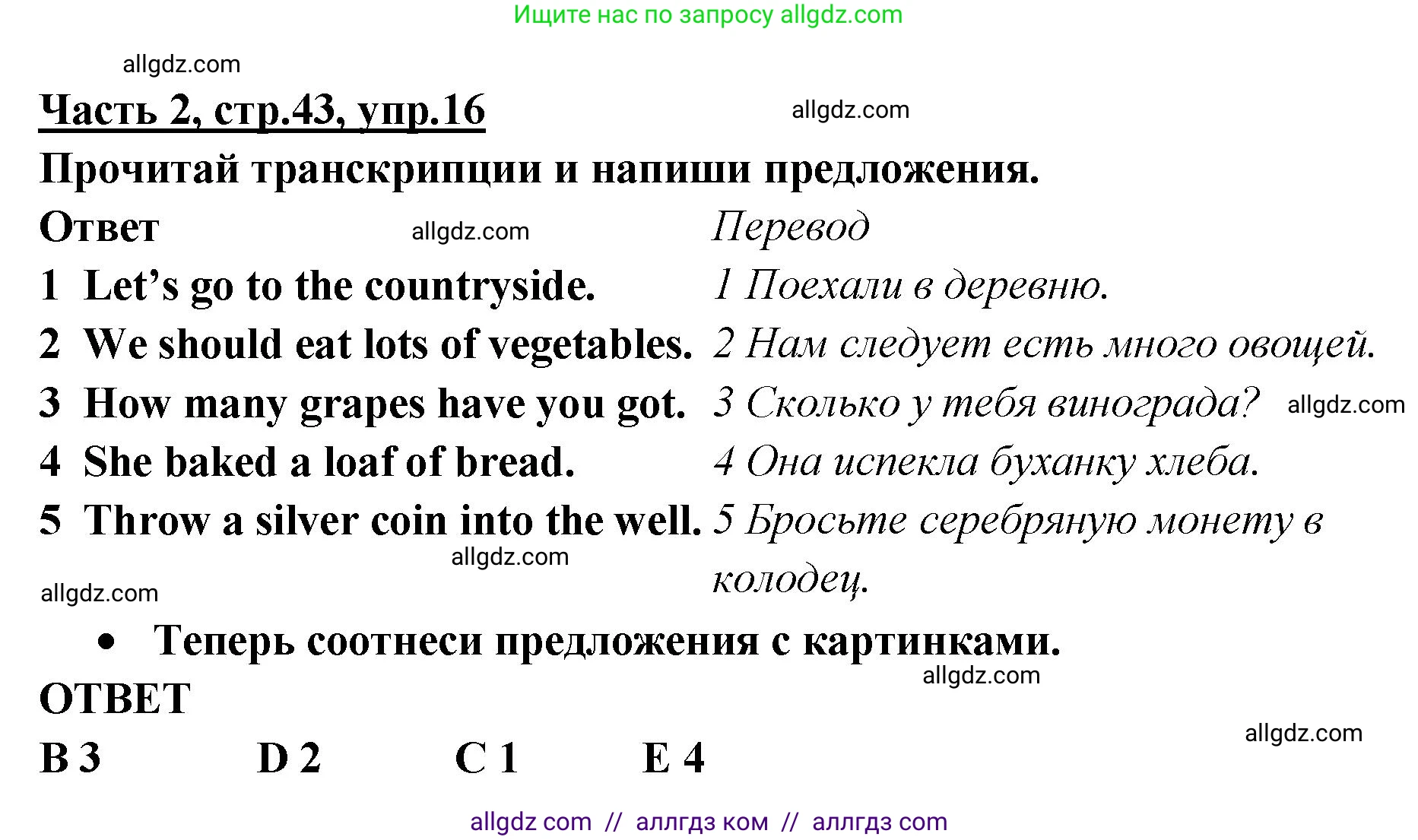 Английский язык (english), 4 класс Рабочая тетрадь (workbook), авторы: Баранова Ксения Михайловна (Baranova Ksenia), Бадулина Ольга Ивановна, Копылова Виктория Викторовна (Kopylova Victoria), Мильруд Радислав Петрович (Millrood Radislav), Эванс Вирджиния (Evans Virginia), издательство Просвещение, Москва, 2023, оранжевого цвета, Часть ( Part) 2, страница 43, номер 16, Решение