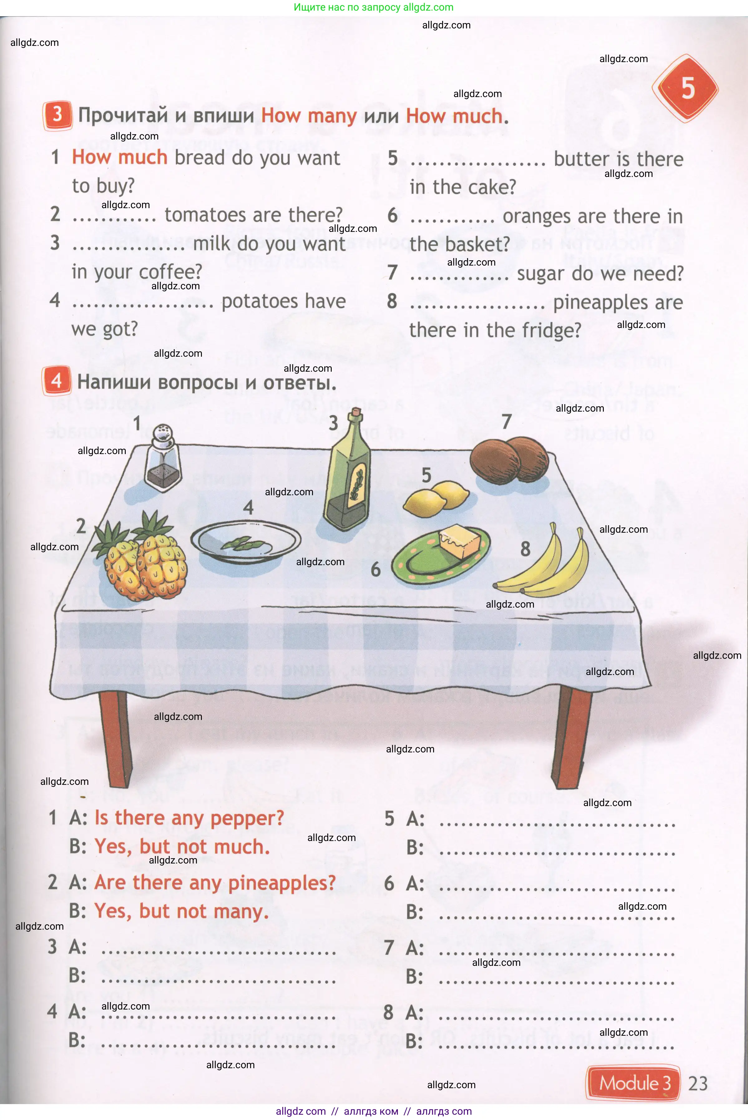 Английский язык (english), 4 класс Рабочая тетрадь (workbook), авторы: Быкова Надежда Ильинична (Bykova Nadezhda), Дули Дженни (Dooley Jenny), Поспелова Марина Давидовна (Pospelova Marina), Эванс Вирджиния (Evans Virginia), издательство Просвещение, Москва, 2023, красного цвета, страница 23