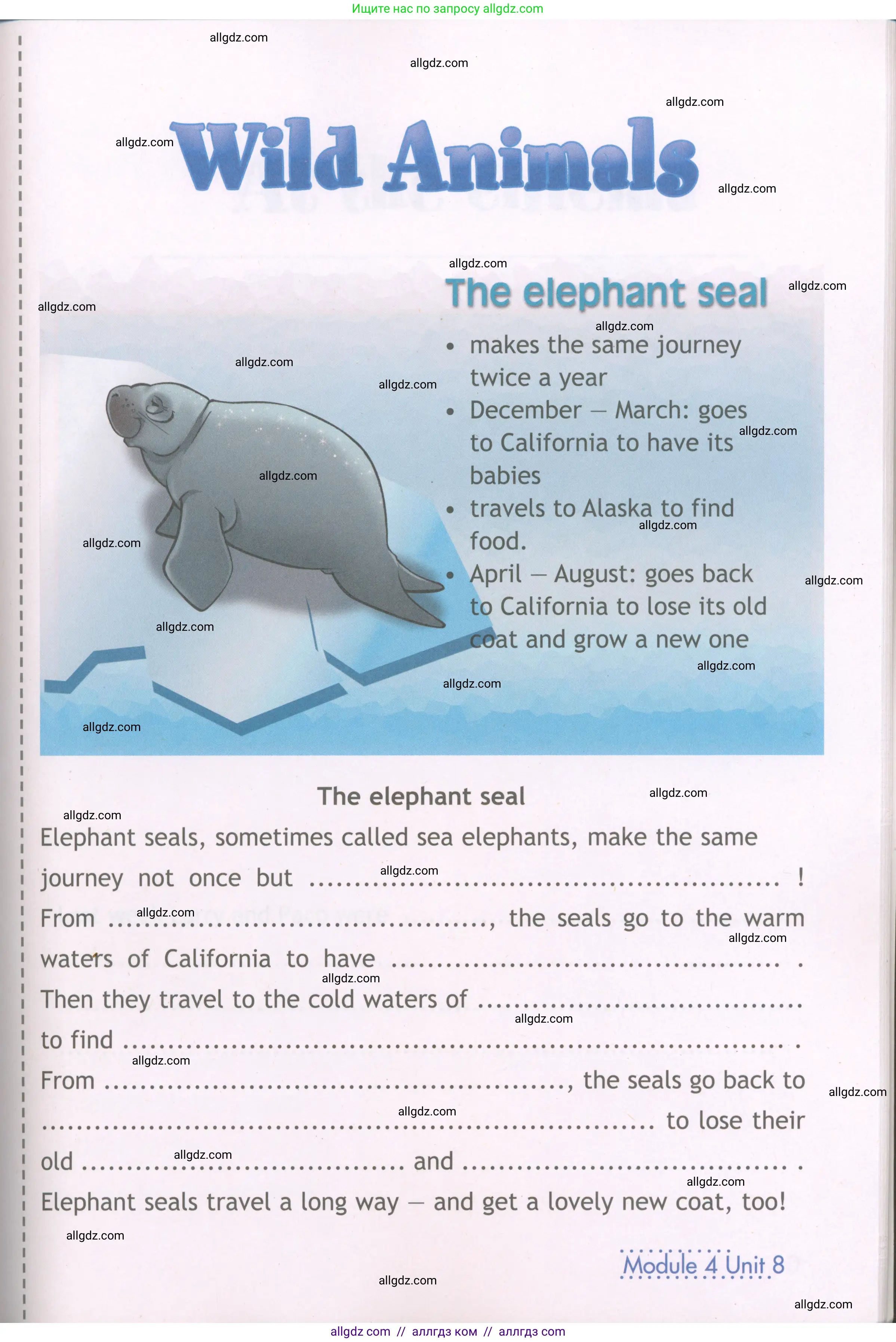 Английский язык (english), 4 класс Рабочая тетрадь (workbook), авторы: Быкова Надежда Ильинична (Bykova Nadezhda), Дули Дженни (Dooley Jenny), Поспелова Марина Давидовна (Pospelova Marina), Эванс Вирджиния (Evans Virginia), издательство Просвещение, Москва, 2023, красного цвета, страница 74