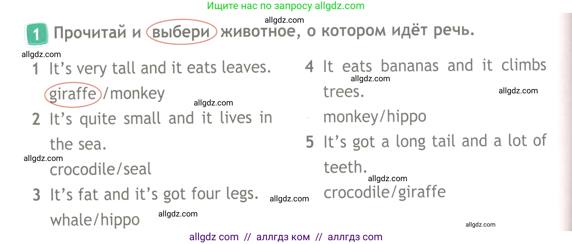 Английский язык (english), 4 класс Рабочая тетрадь (workbook), авторы: Быкова Надежда Ильинична (Bykova Nadezhda), Дули Дженни (Dooley Jenny), Поспелова Марина Давидовна (Pospelova Marina), Эванс Вирджиния (Evans Virginia), издательство Просвещение, Москва, 2023, красного цвета, страница 32, номер 1, Условие