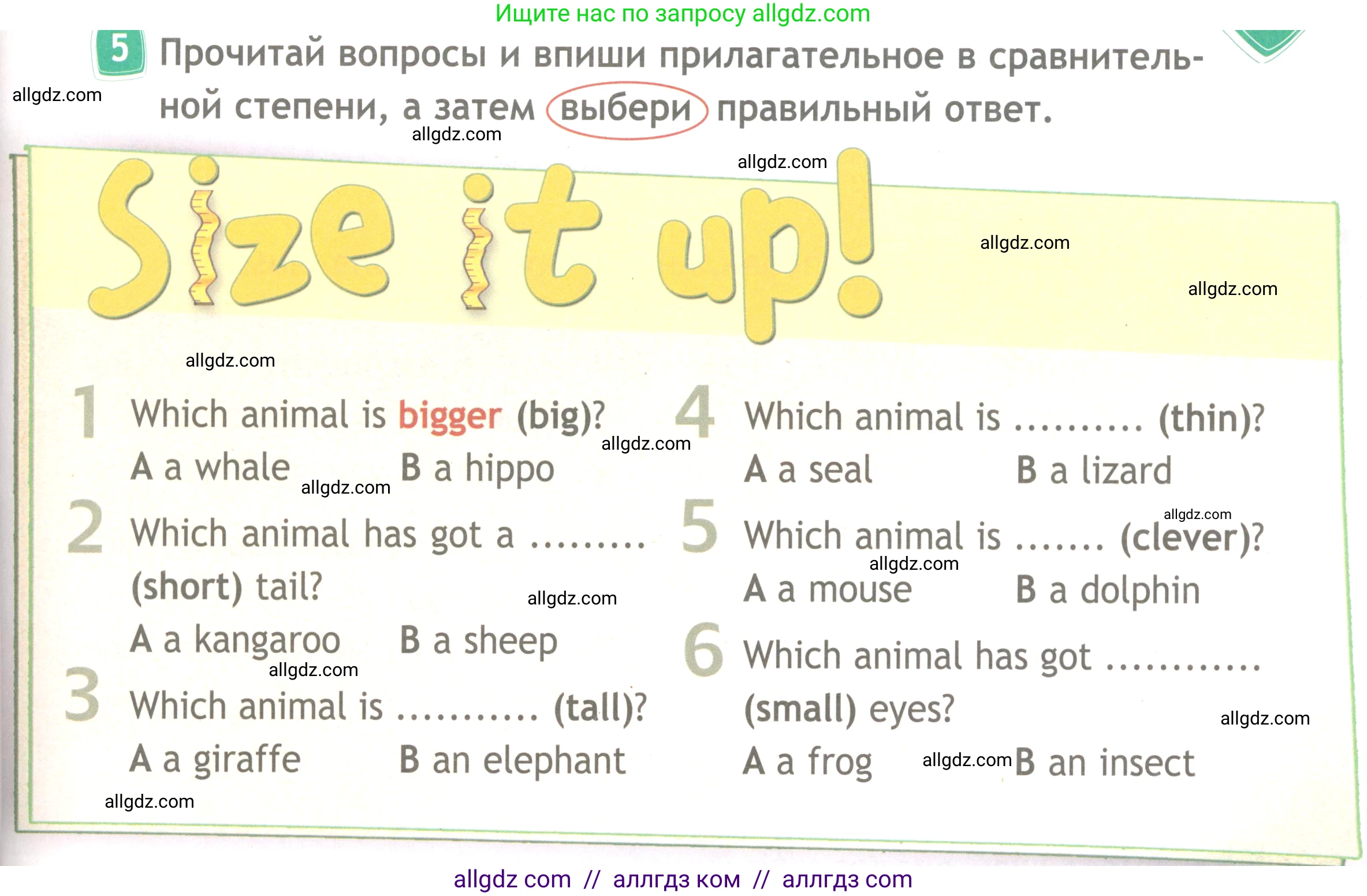 Английский язык (english), 4 класс Рабочая тетрадь (workbook), авторы: Быкова Надежда Ильинична (Bykova Nadezhda), Дули Дженни (Dooley Jenny), Поспелова Марина Давидовна (Pospelova Marina), Эванс Вирджиния (Evans Virginia), издательство Просвещение, Москва, 2023, красного цвета, страница 33, номер 5, Условие