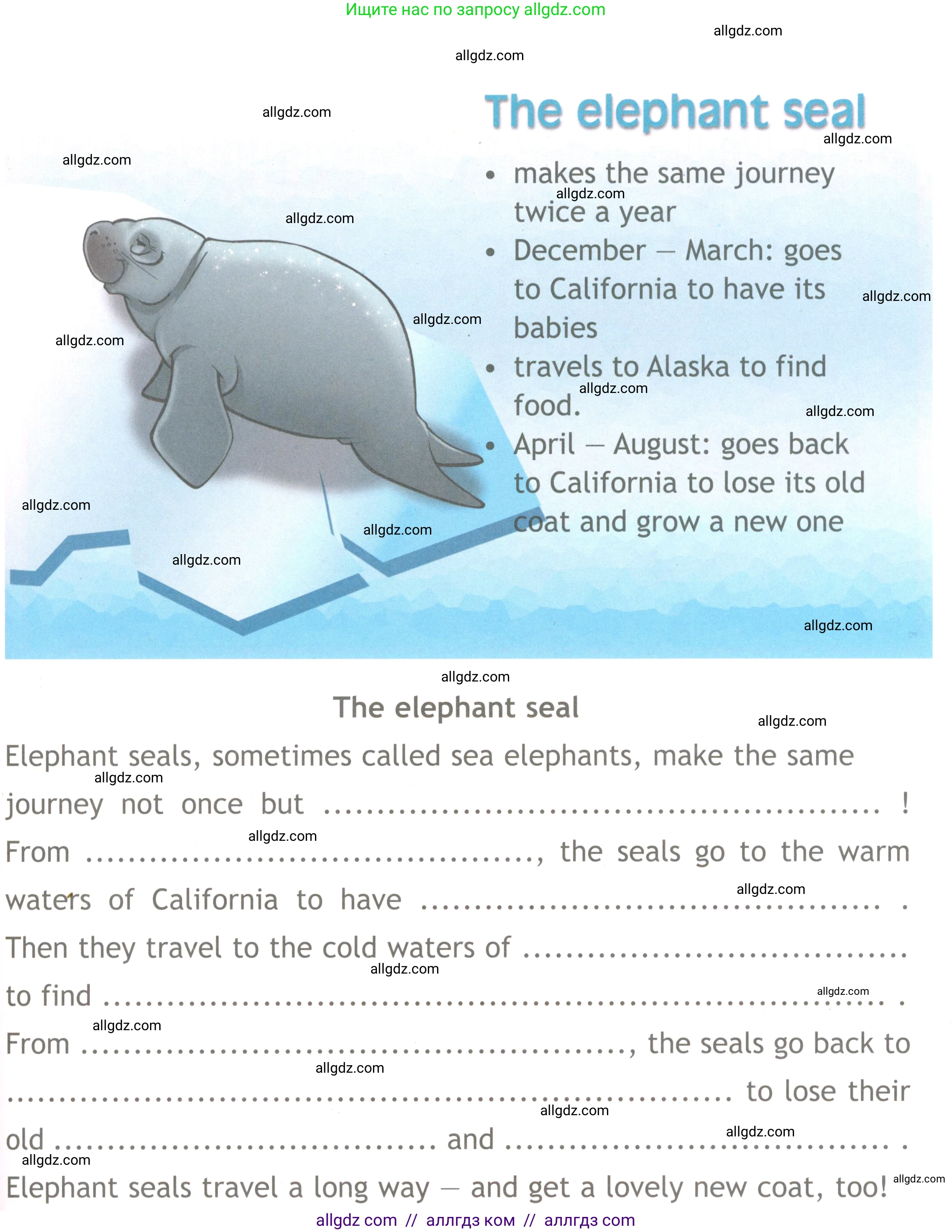 Английский язык (english), 4 класс Рабочая тетрадь (workbook), авторы: Быкова Надежда Ильинична (Bykova Nadezhda), Дули Дженни (Dooley Jenny), Поспелова Марина Давидовна (Pospelova Marina), Эванс Вирджиния (Evans Virginia), издательство Просвещение, Москва, 2023, красного цвета, страница 74, Условие