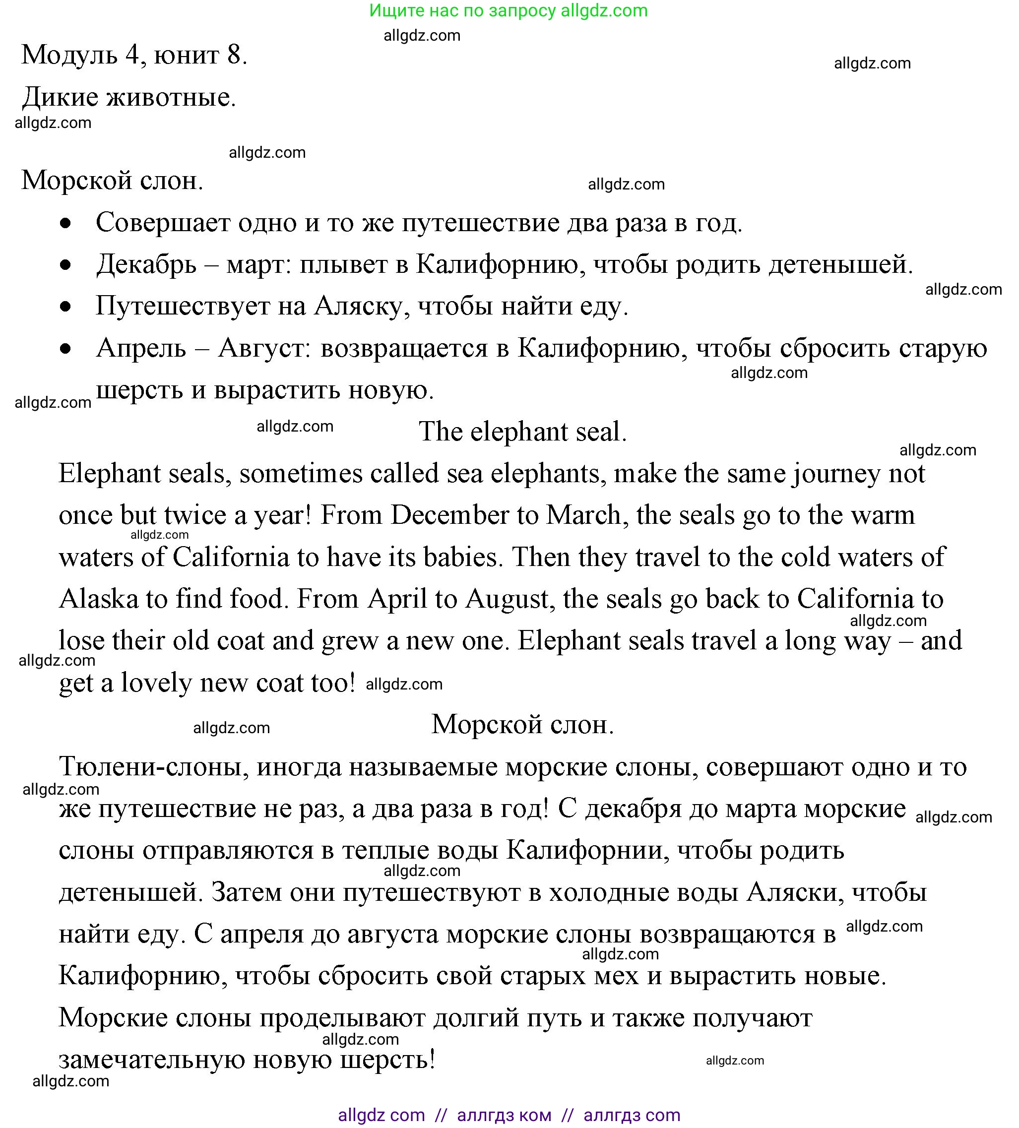 Английский язык (english), 4 класс Рабочая тетрадь (workbook), авторы: Быкова Надежда Ильинична (Bykova Nadezhda), Дули Дженни (Dooley Jenny), Поспелова Марина Давидовна (Pospelova Marina), Эванс Вирджиния (Evans Virginia), издательство Просвещение, Москва, 2023, красного цвета, страница 74, Решение 1