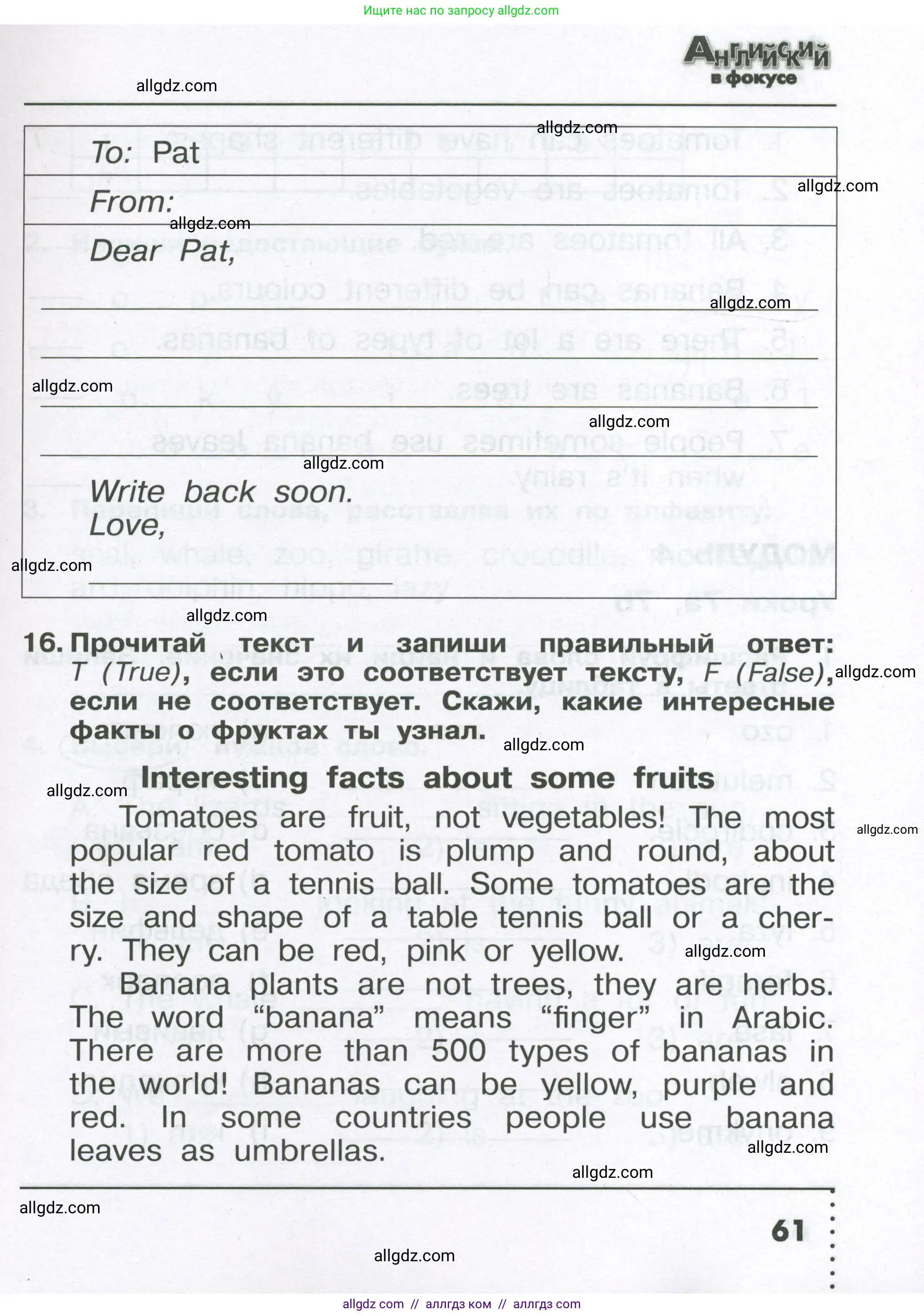 Английский язык (english), 4 класс Сборник упражнений, авторы: Быкова Надежда Ильинична (Bykova Nadezhda), Поспелова Марина Давидовна (Pospelova Marina), издательство Просвещение, Москва, 2023, оранжевого цвета, страница 61