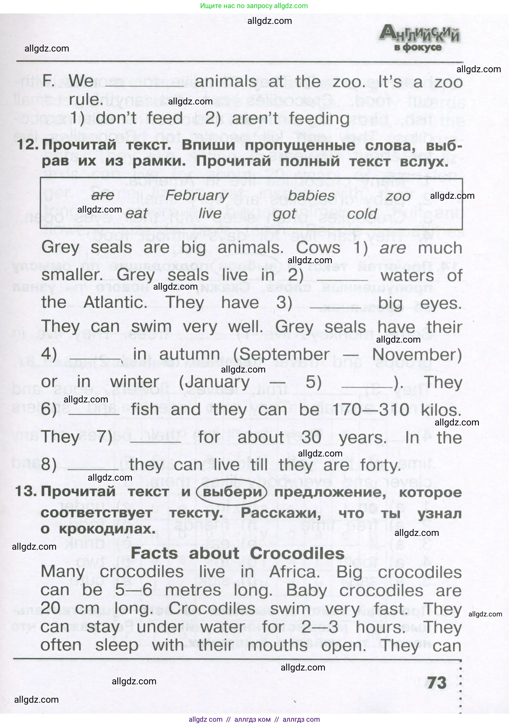 Английский язык (english), 4 класс Сборник упражнений, авторы: Быкова Надежда Ильинична (Bykova Nadezhda), Поспелова Марина Давидовна (Pospelova Marina), издательство Просвещение, Москва, 2023, оранжевого цвета, страница 73