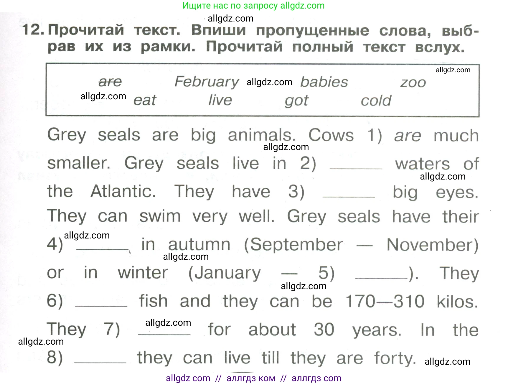 Английский язык (english), 4 класс Сборник упражнений, авторы: Быкова Надежда Ильинична (Bykova Nadezhda), Поспелова Марина Давидовна (Pospelova Marina), издательство Просвещение, Москва, 2023, оранжевого цвета, страница 73, номер 12, Условие