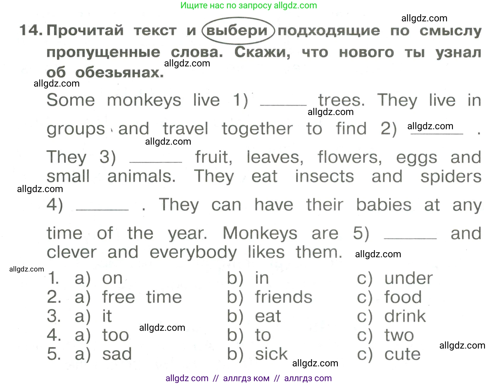 Английский язык (english), 4 класс Сборник упражнений, авторы: Быкова Надежда Ильинична (Bykova Nadezhda), Поспелова Марина Давидовна (Pospelova Marina), издательство Просвещение, Москва, 2023, оранжевого цвета, страница 74, номер 14, Условие