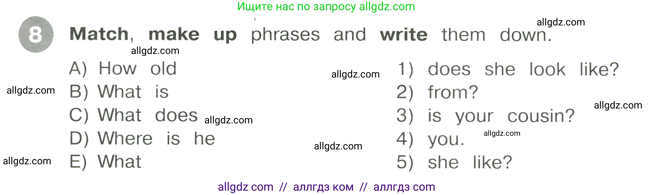 Английский язык (english), 4 класс Сборник упражнений, автор: Котова Марина Петровна, издательство Просвещение, Москва, 2023, белого цвета, страница 5, номер 8, Условие