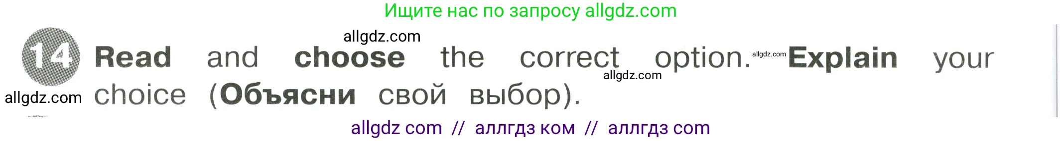 Английский язык (english), 4 класс Сборник упражнений, автор: Котова Марина Петровна, издательство Просвещение, Москва, 2023, белого цвета, страница 14, номер 14, Условие