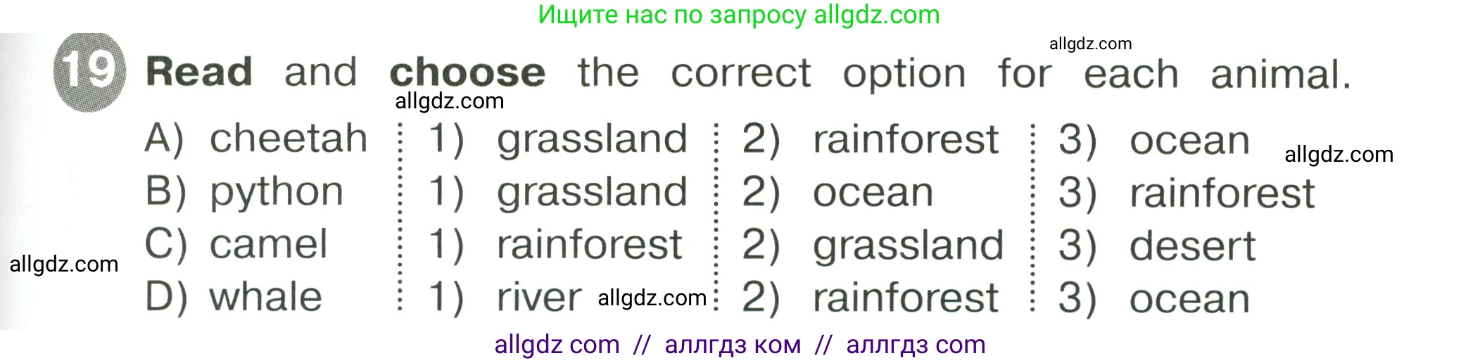 Английский язык (english), 4 класс Сборник упражнений, автор: Котова Марина Петровна, издательство Просвещение, Москва, 2023, белого цвета, страница 47, номер 19, Условие