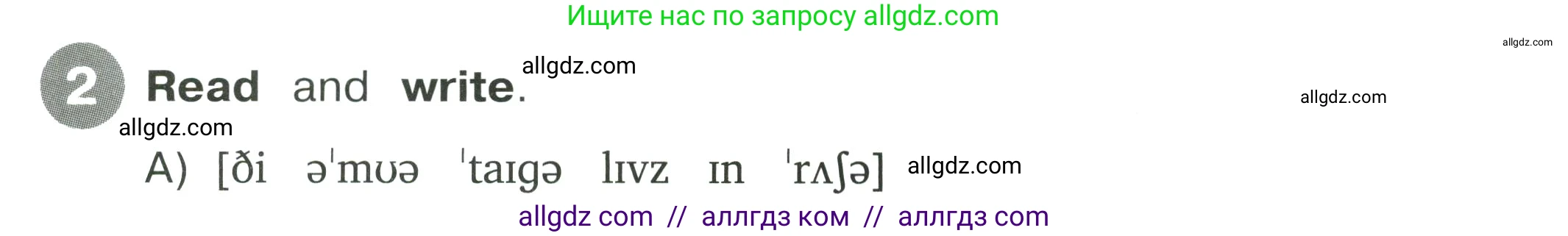 Английский язык (english), 4 класс Сборник упражнений, автор: Котова Марина Петровна, издательство Просвещение, Москва, 2023, белого цвета, страница 39, номер 2, Условие