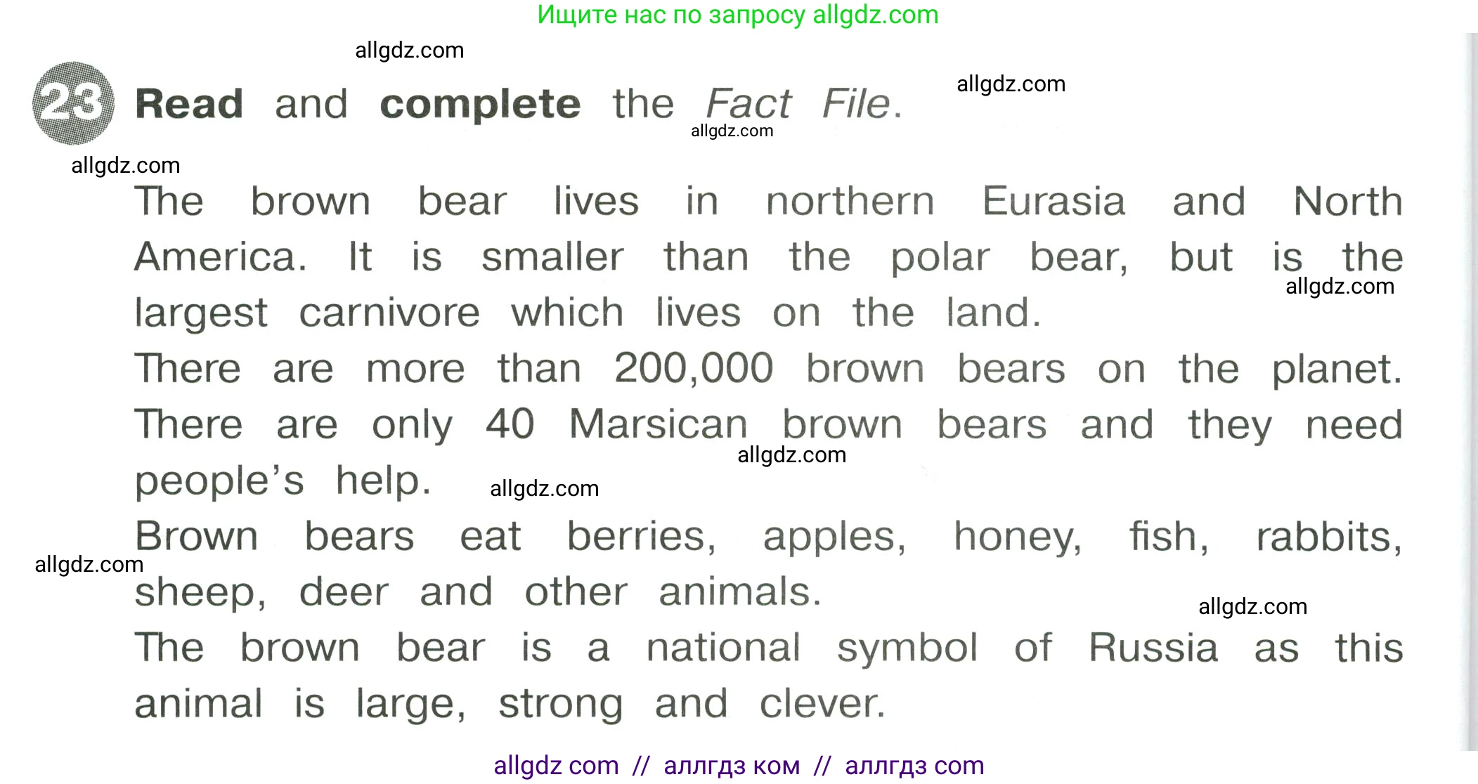 Английский язык (english), 4 класс Сборник упражнений, автор: Котова Марина Петровна, издательство Просвещение, Москва, 2023, белого цвета, страница 48, номер 23, Условие
