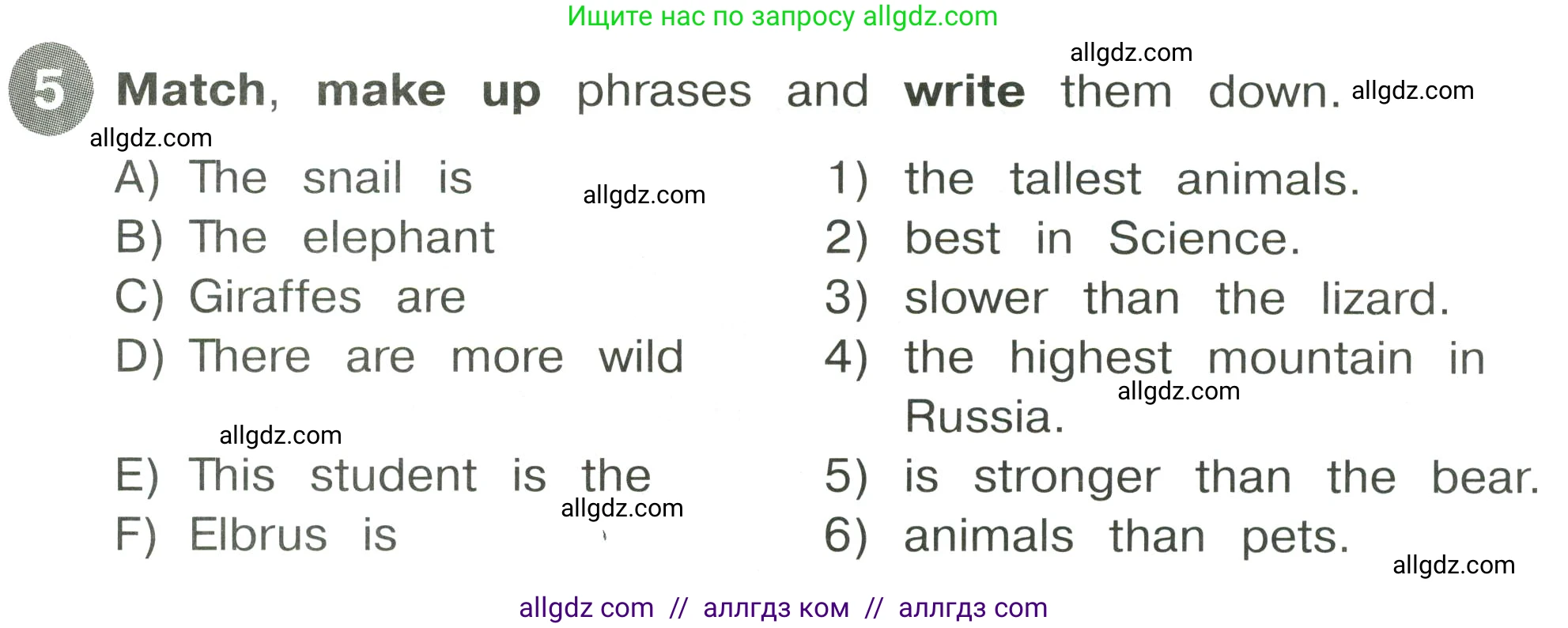 Английский язык (english), 4 класс Сборник упражнений, автор: Котова Марина Петровна, издательство Просвещение, Москва, 2023, белого цвета, страница 41, номер 5, Условие
