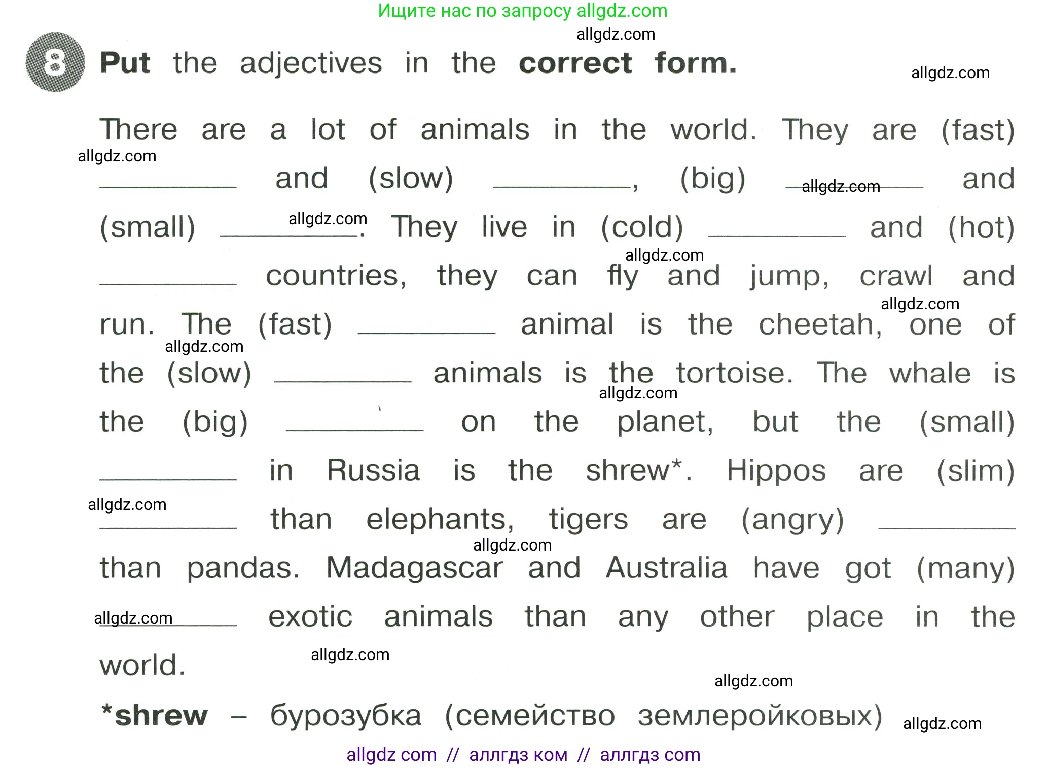 Английский язык (english), 4 класс Сборник упражнений, автор: Котова Марина Петровна, издательство Просвещение, Москва, 2023, белого цвета, страница 42, номер 8, Условие