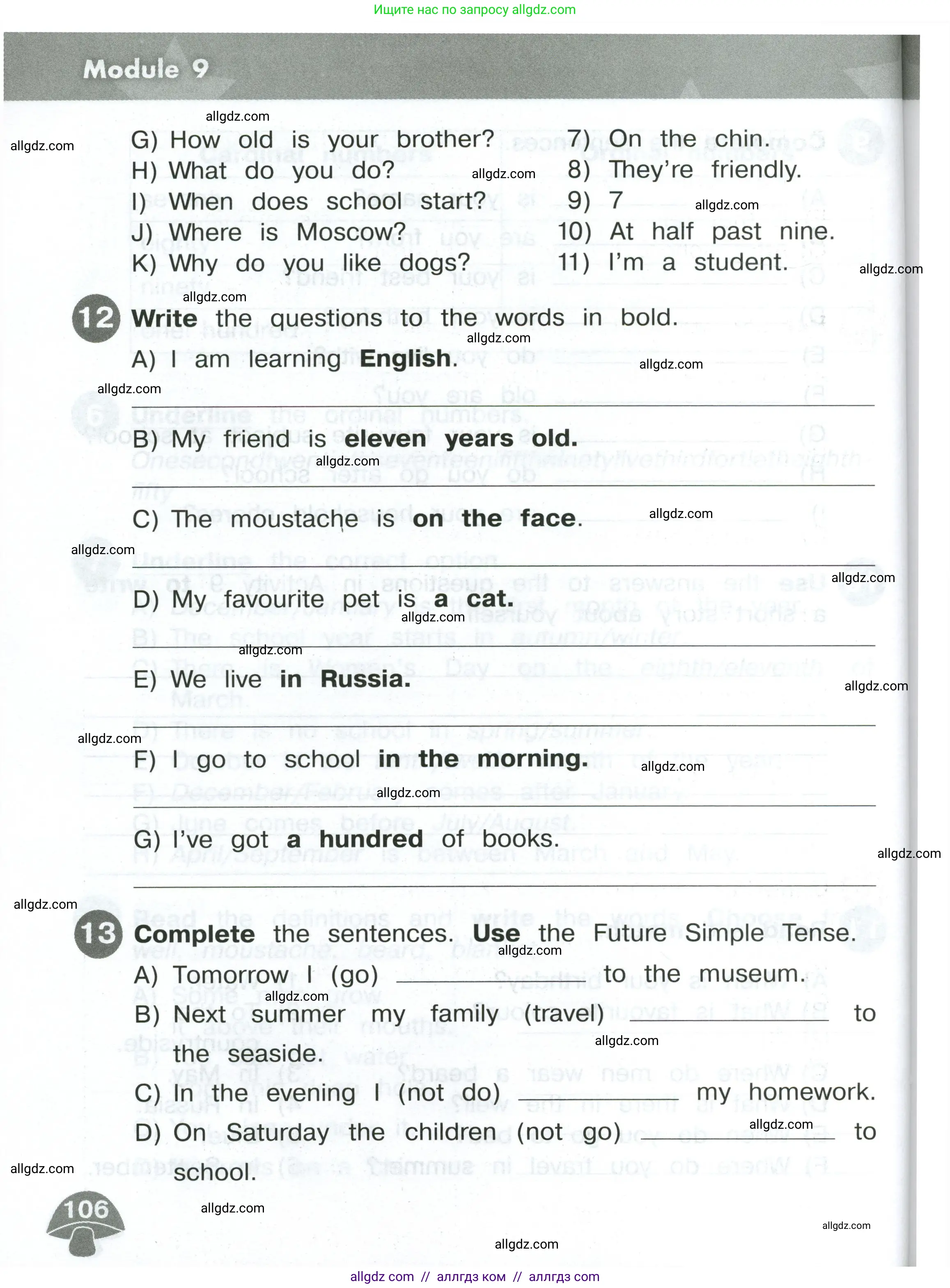Английский язык (english), 4 класс Сборник упражнений, автор: Котова Марина Петровна, издательство Просвещение, Москва, 2023, белого цвета, страница 106