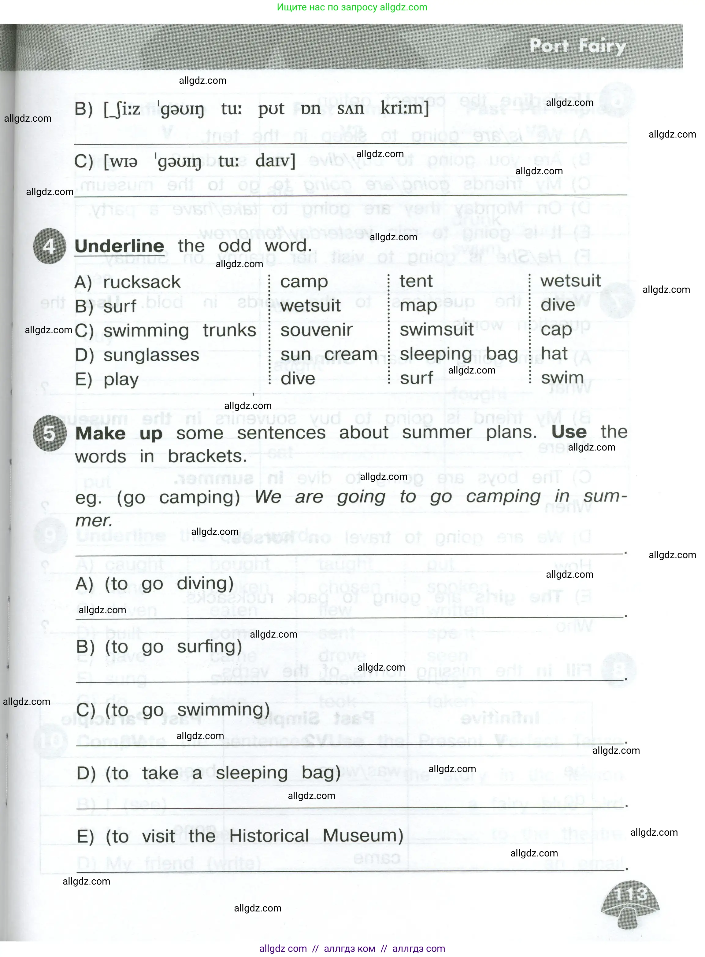 Английский язык (english), 4 класс Сборник упражнений, автор: Котова Марина Петровна, издательство Просвещение, Москва, 2023, белого цвета, страница 113