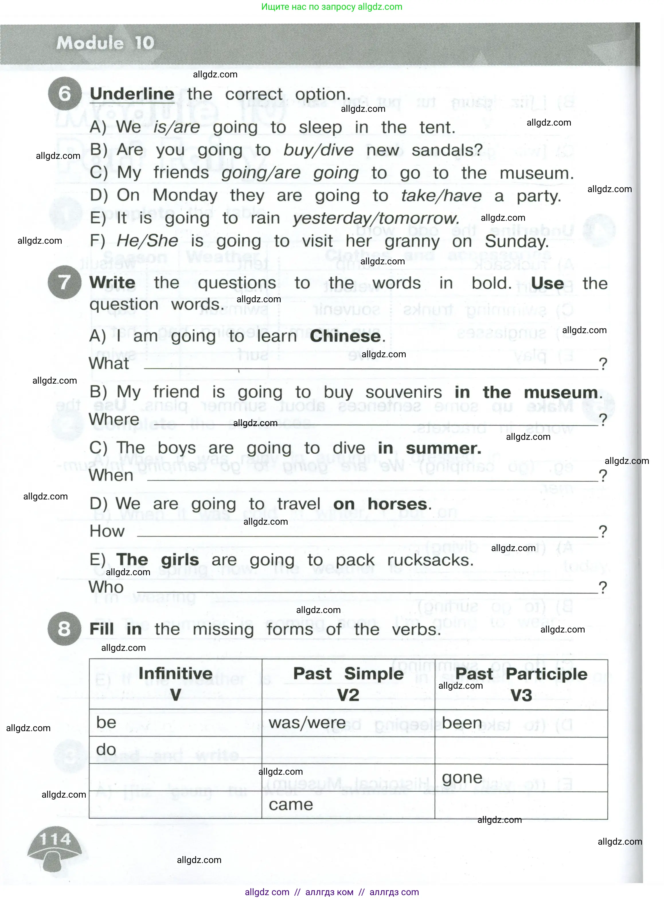 Английский язык (english), 4 класс Сборник упражнений, автор: Котова Марина Петровна, издательство Просвещение, Москва, 2023, белого цвета, страница 114