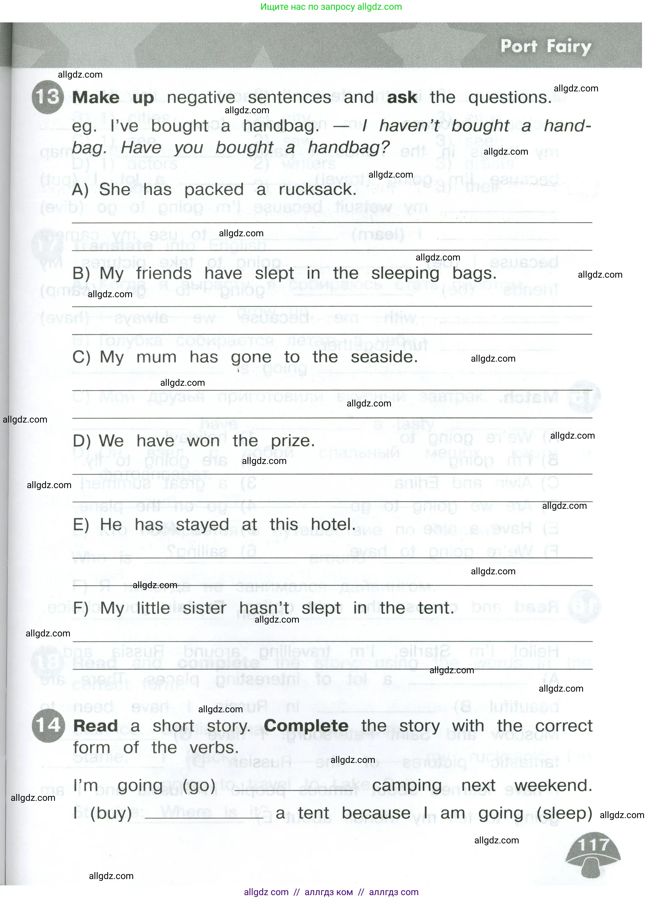 Английский язык (english), 4 класс Сборник упражнений, автор: Котова Марина Петровна, издательство Просвещение, Москва, 2023, белого цвета, страница 117